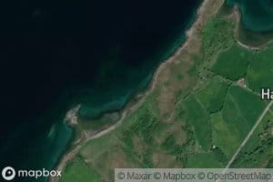 Breidvika