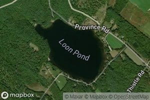 Loon Pond