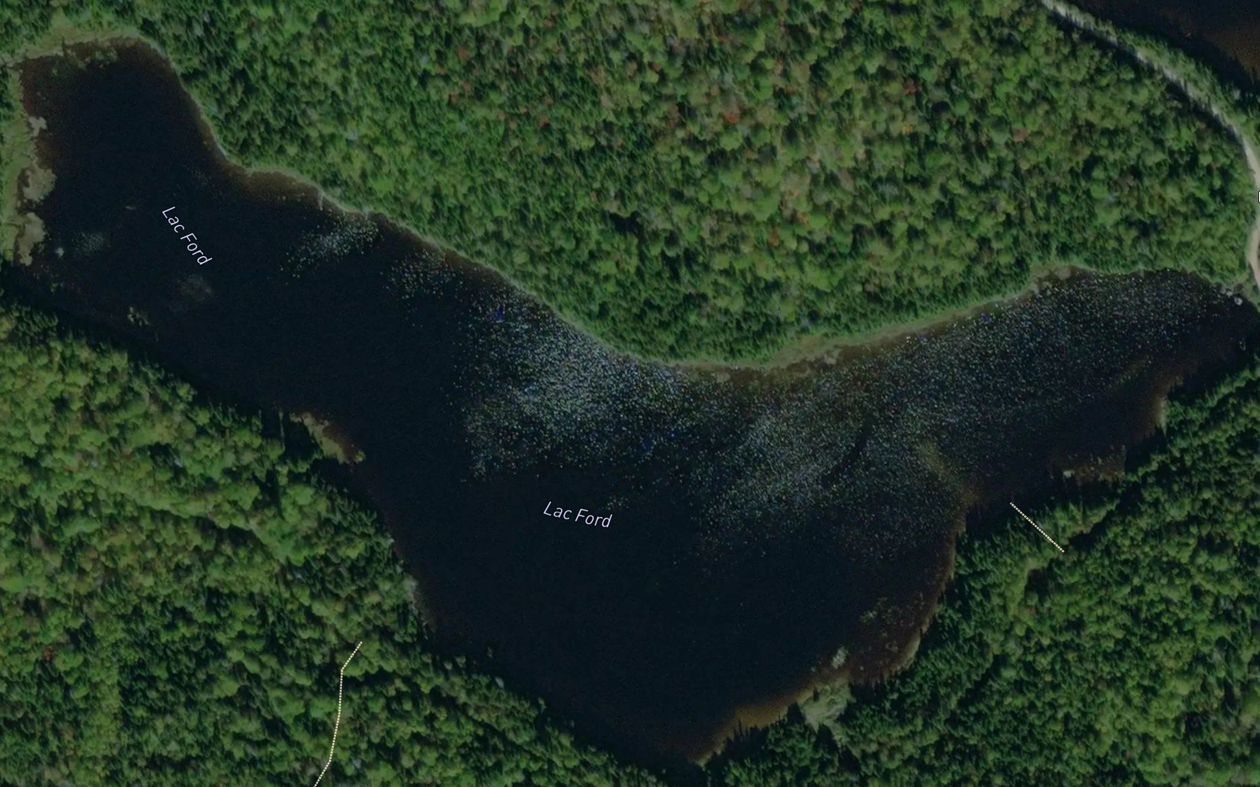 Lac Ford