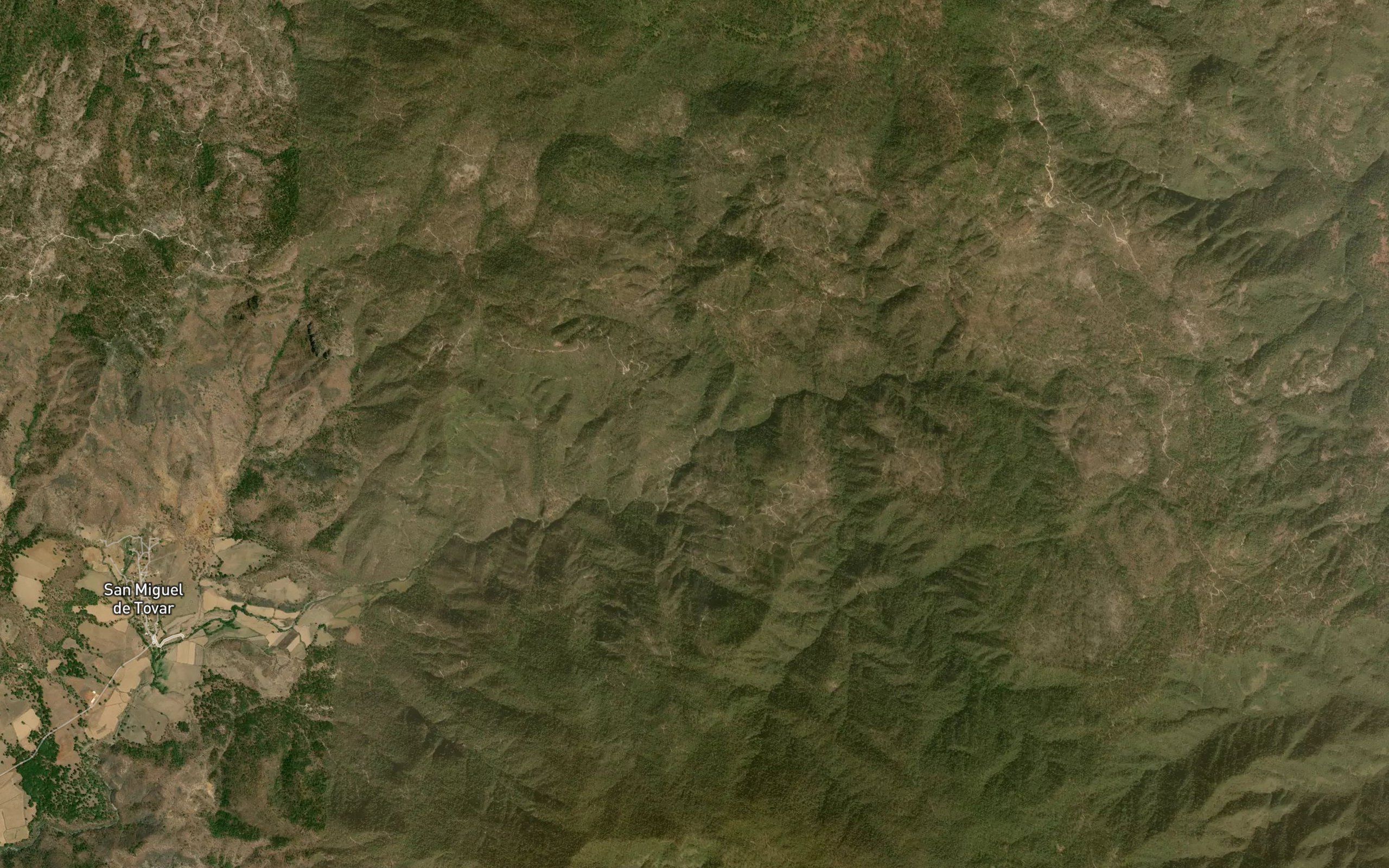 El Carrizo