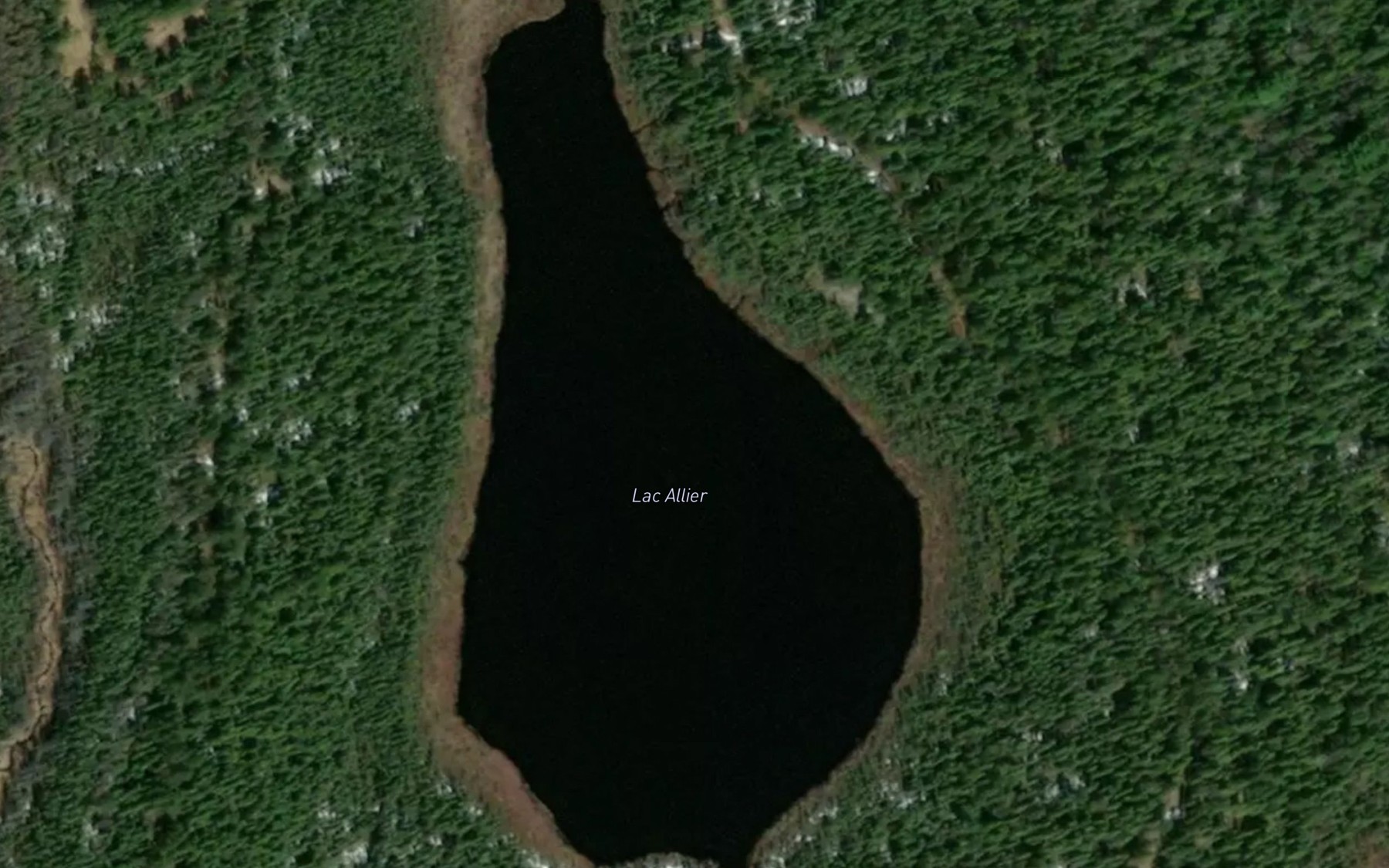 Satellite map of the Lac Allier