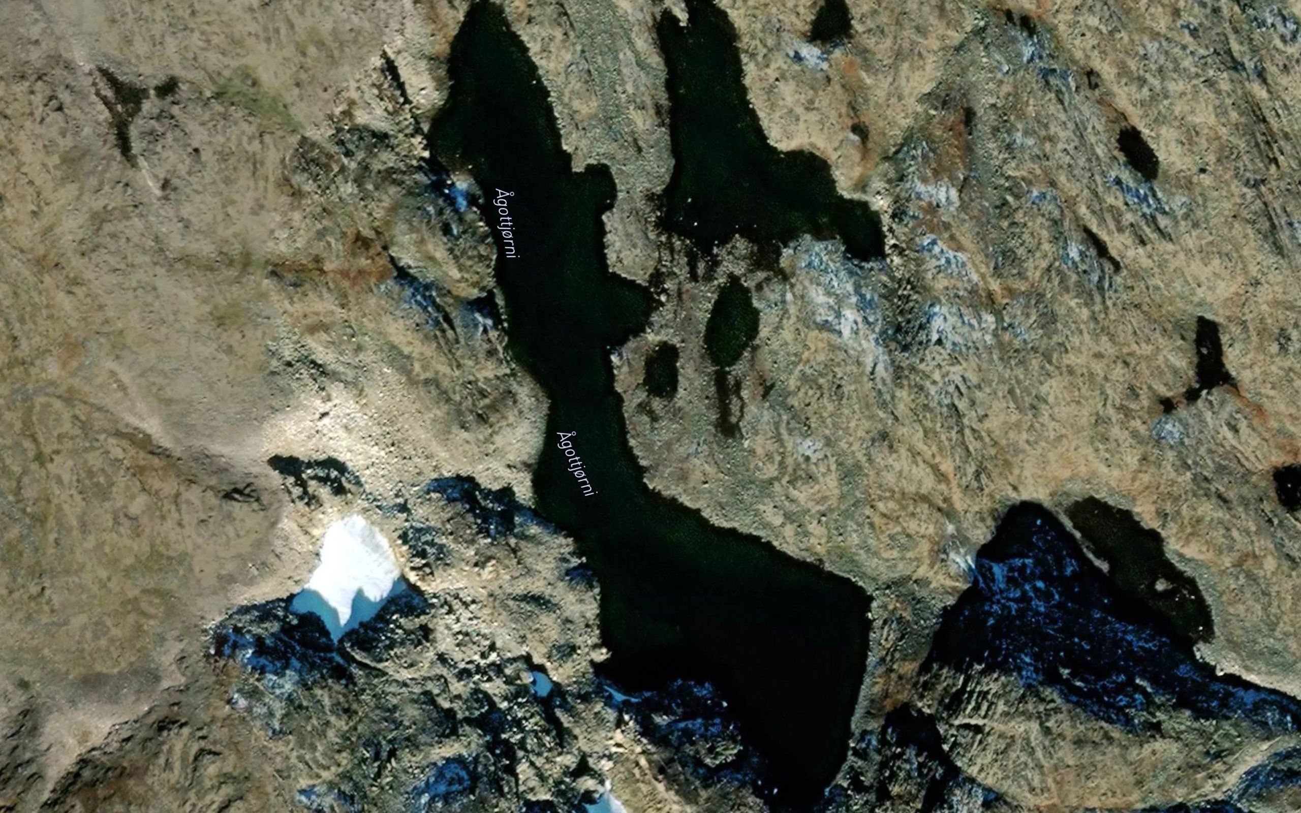 Agottjorni