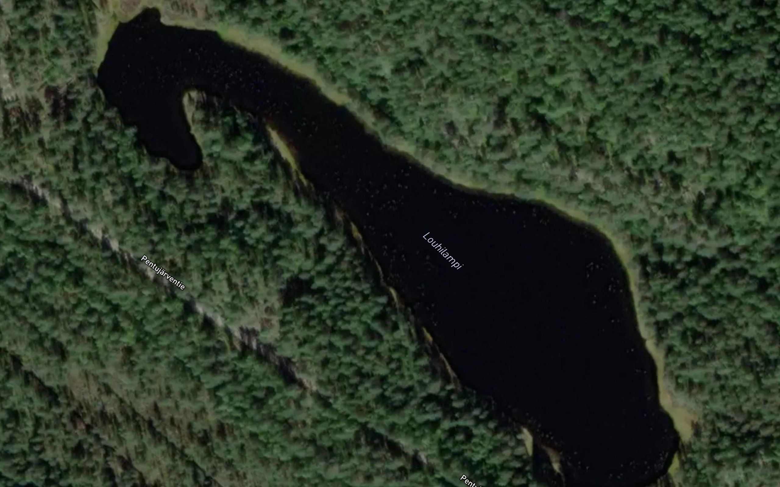 Louhilampi