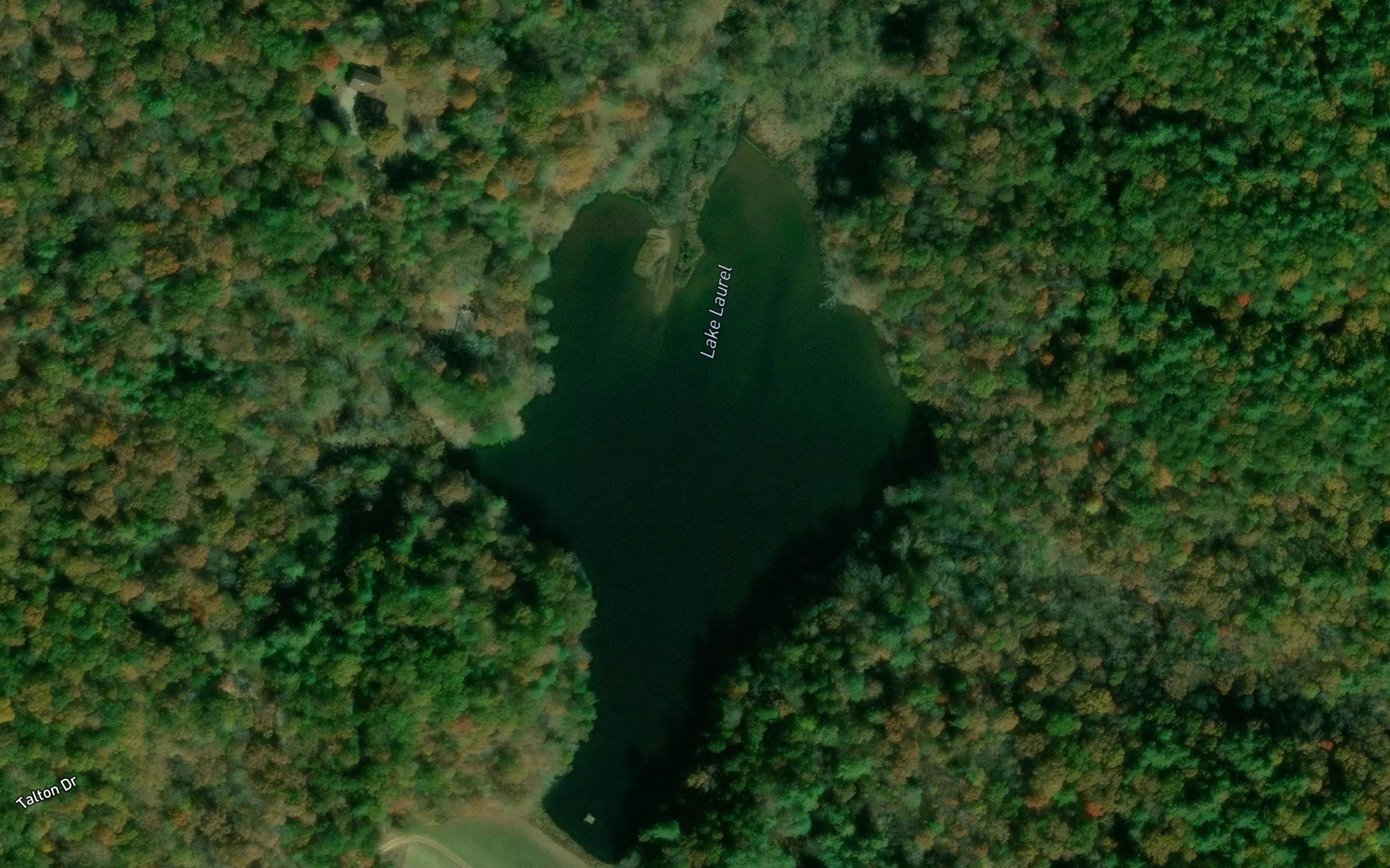 Lake Laurel