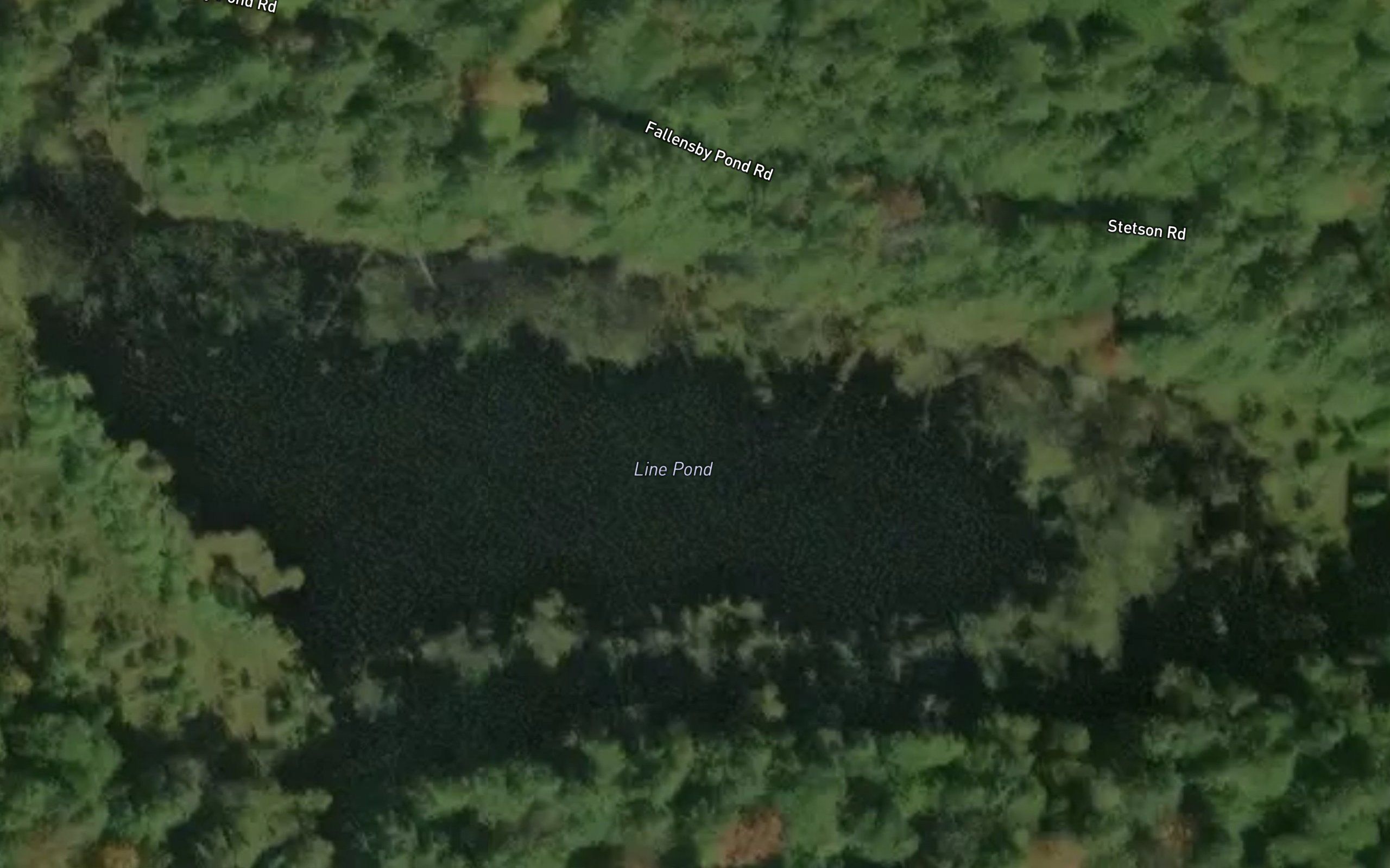 Line Pond