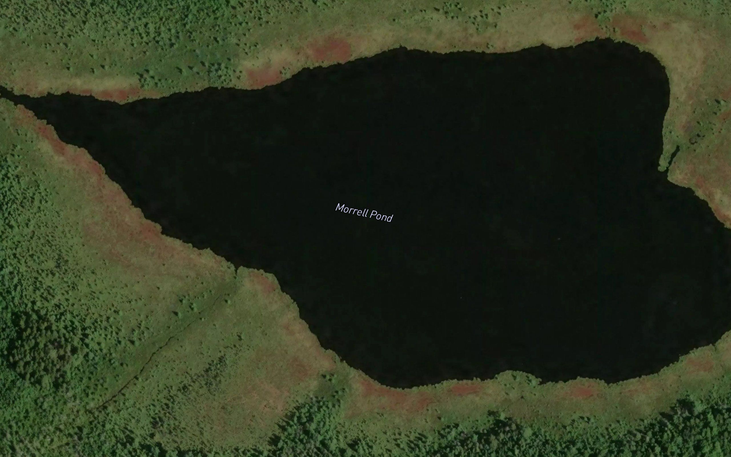 Morrell Pond