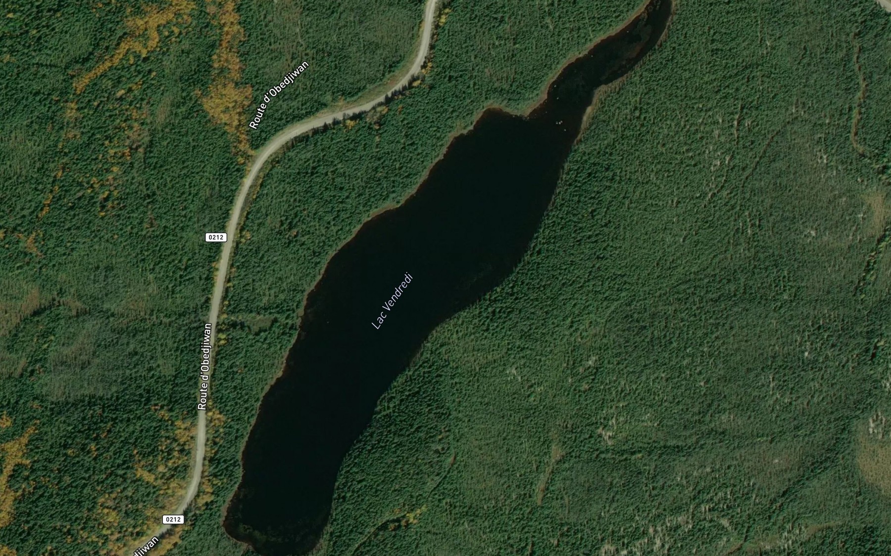 Satellite map of the Lac Vendredi