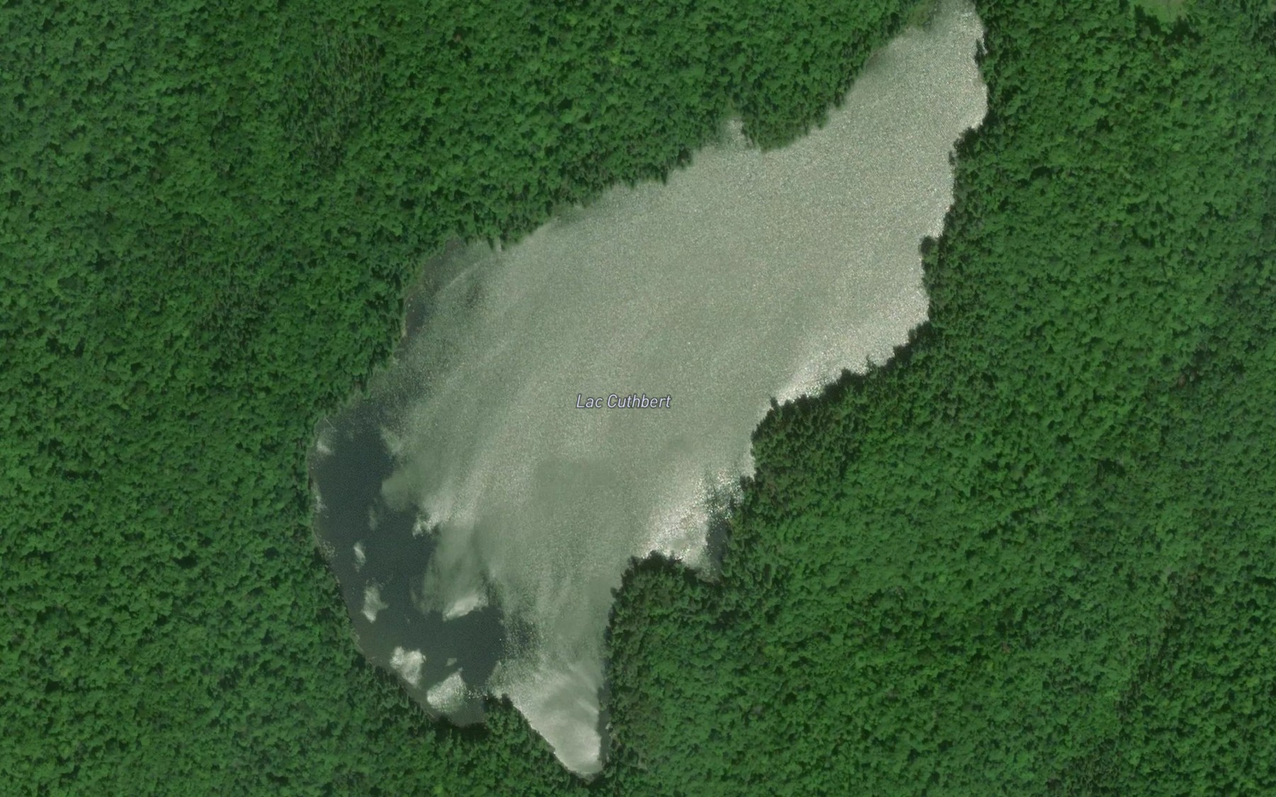 Satellite map of the Lac Cuthbert