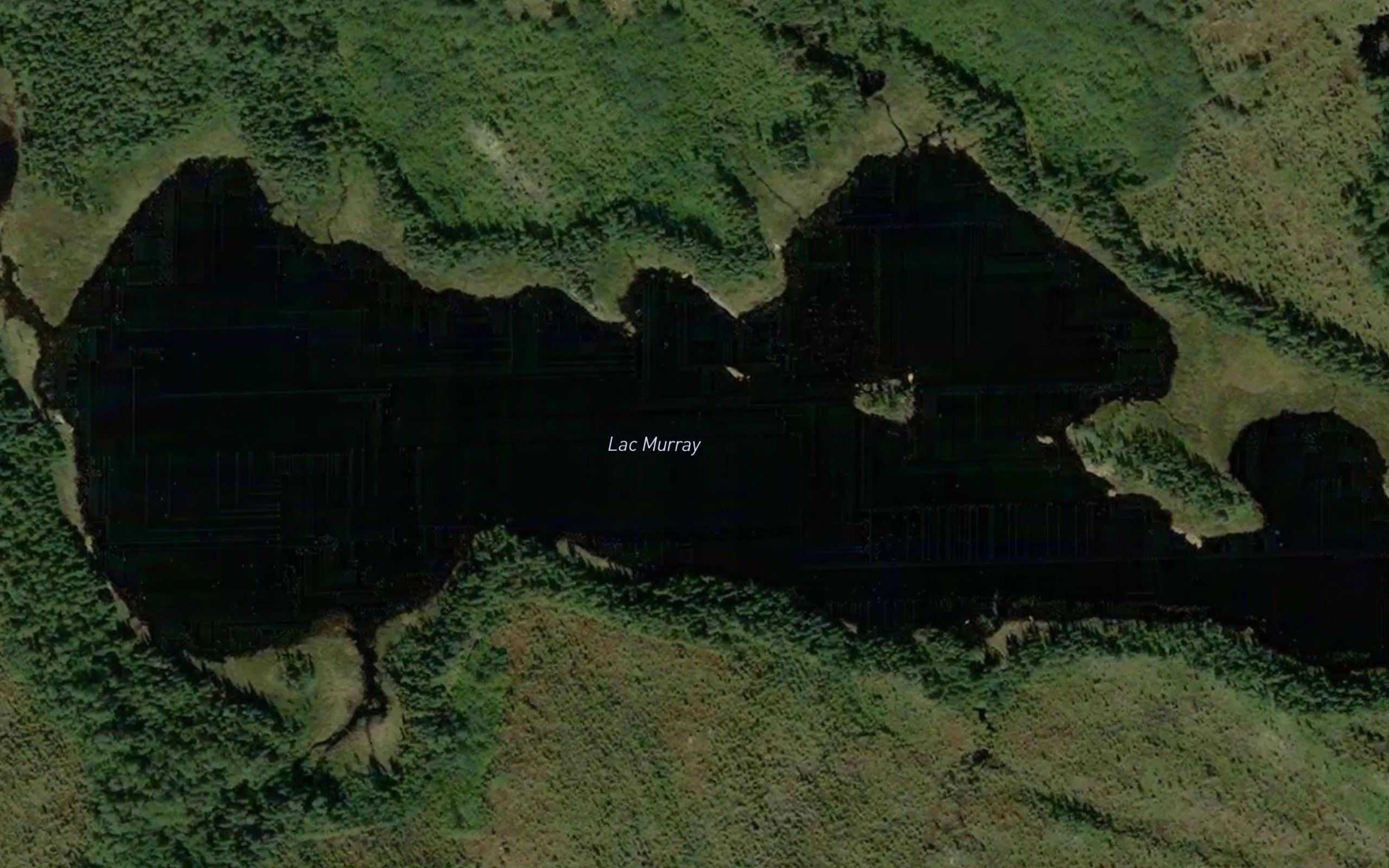 Lac Murray