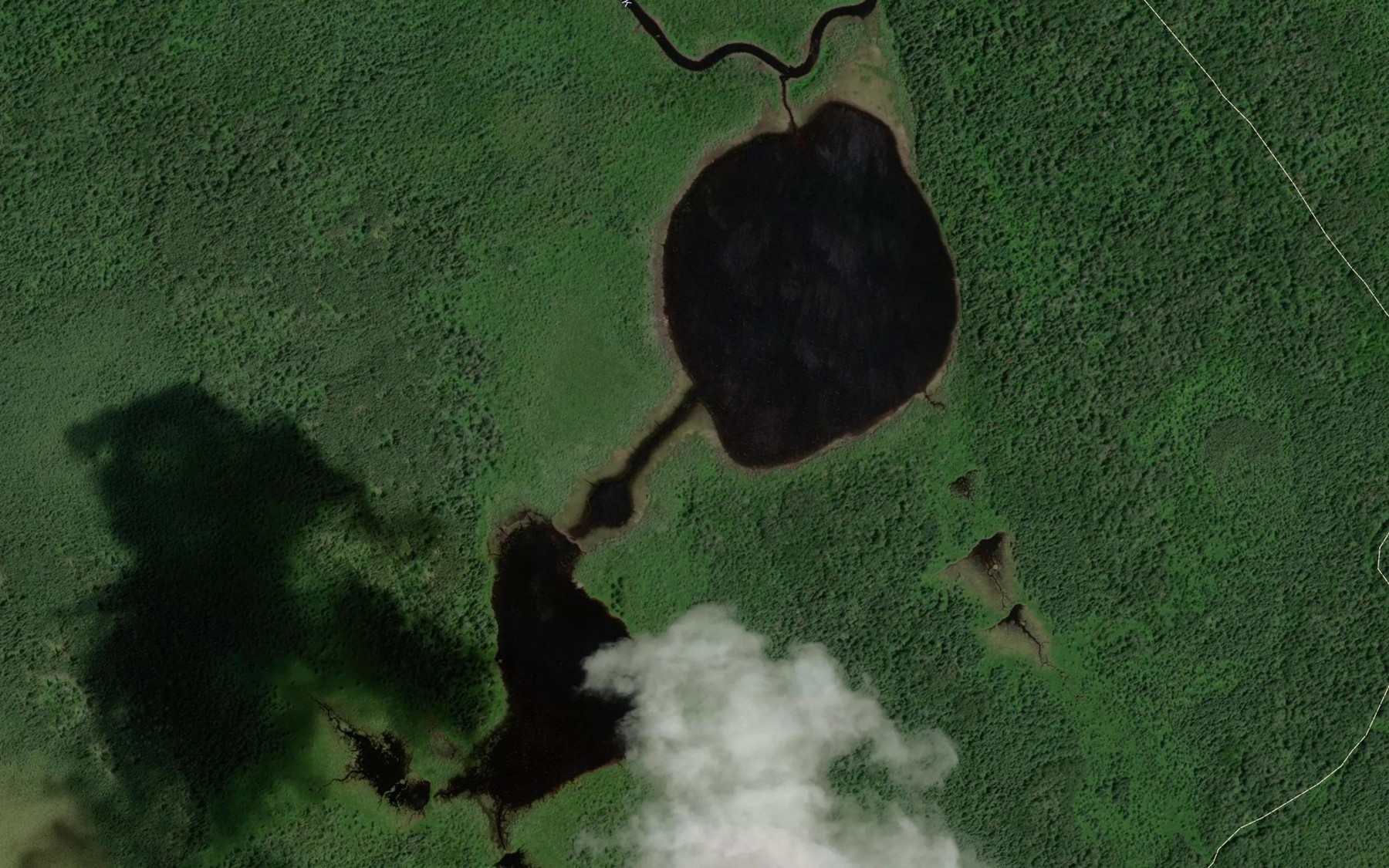 Satellite map of the Jeanette Lake
