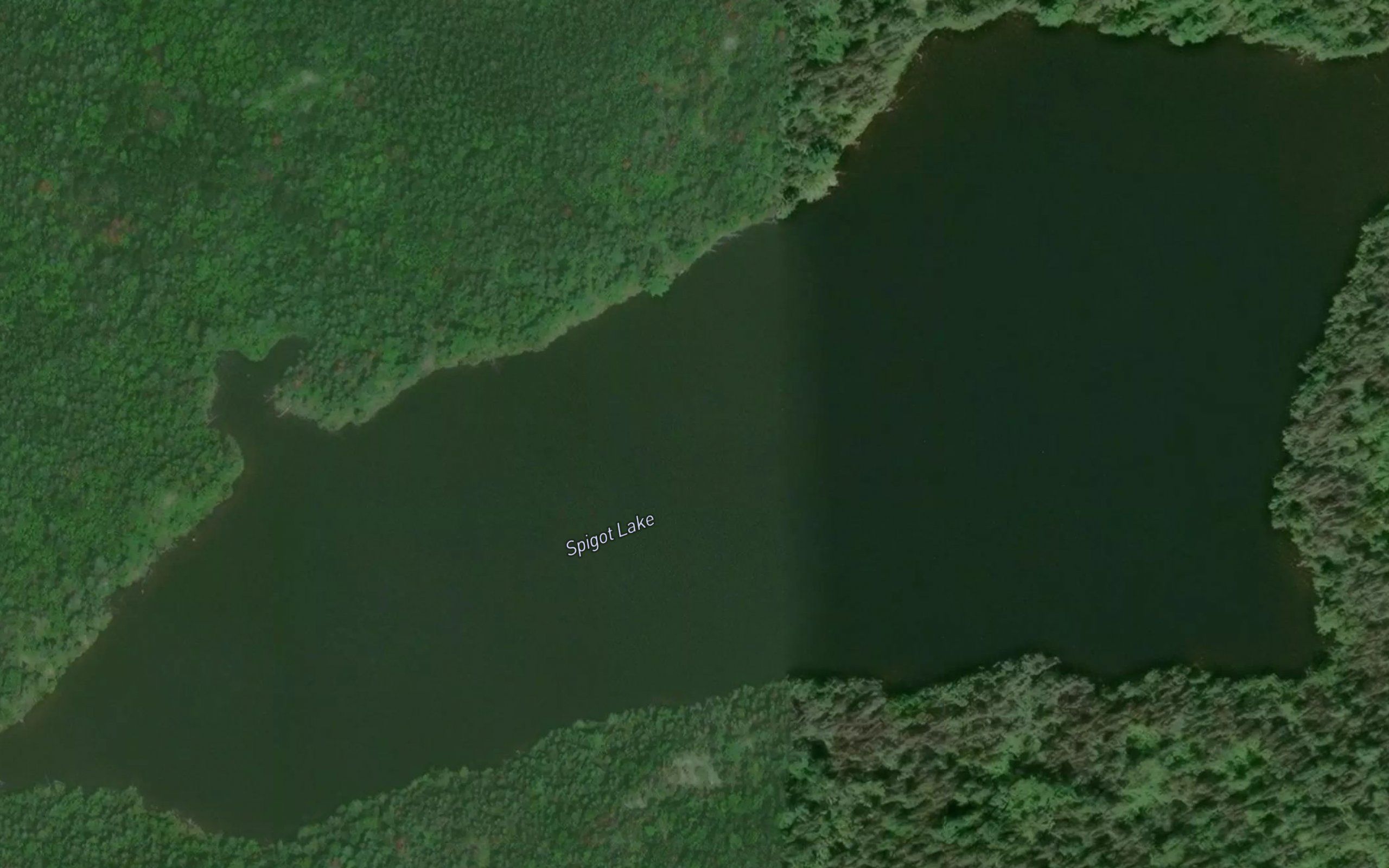 Spigot Lake