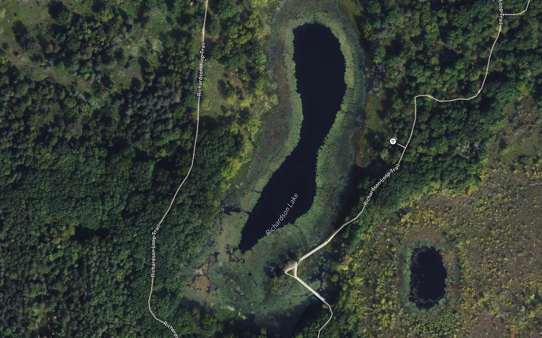 Satellite map of the Richardson Lake