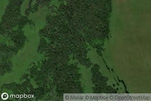 Khazhinovskaya Shida