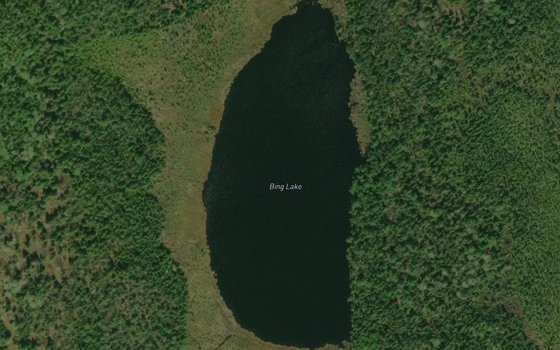 Satellite map of the Bing Lake