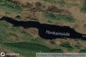 Hankainsiula