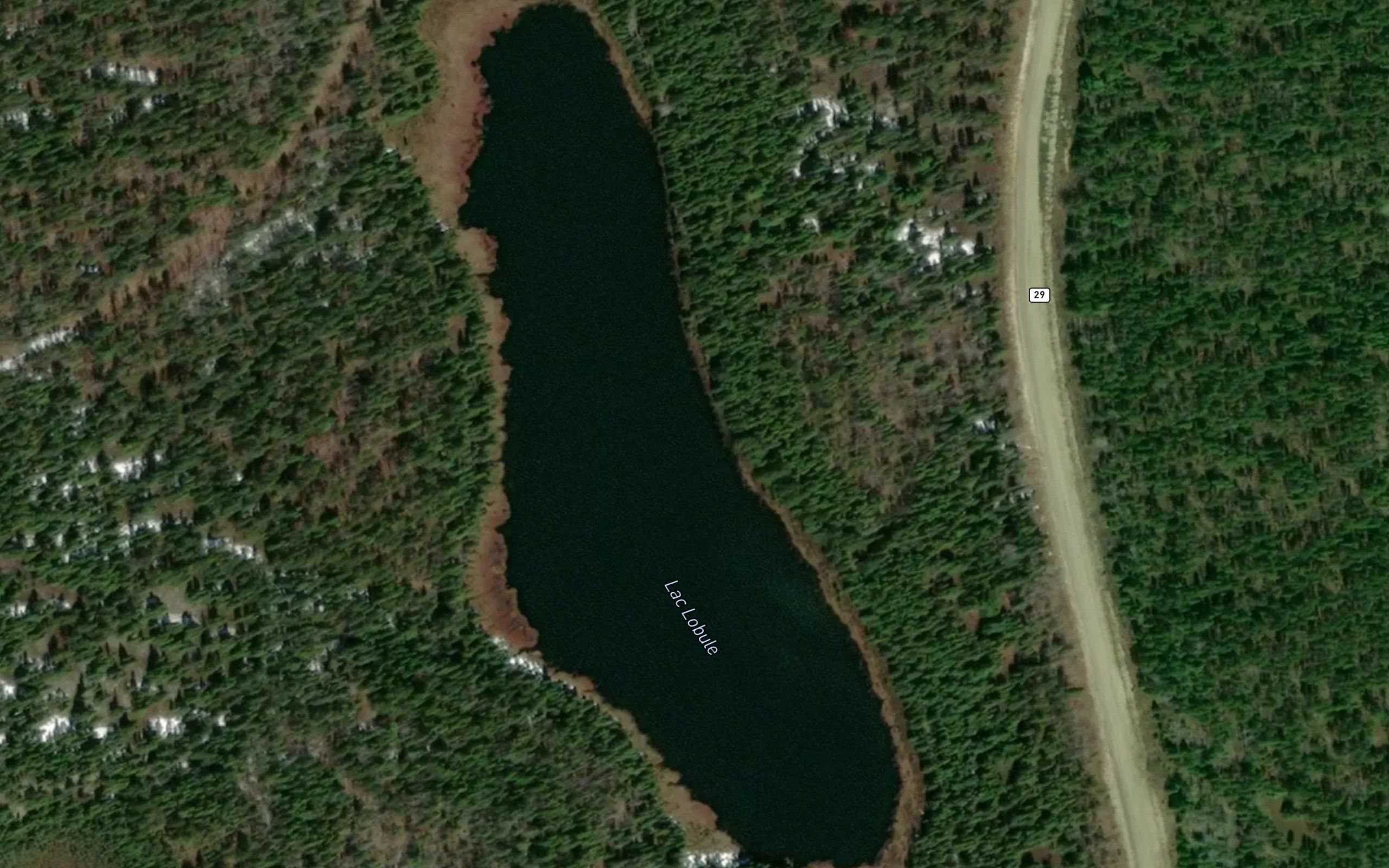 Lac Lobule