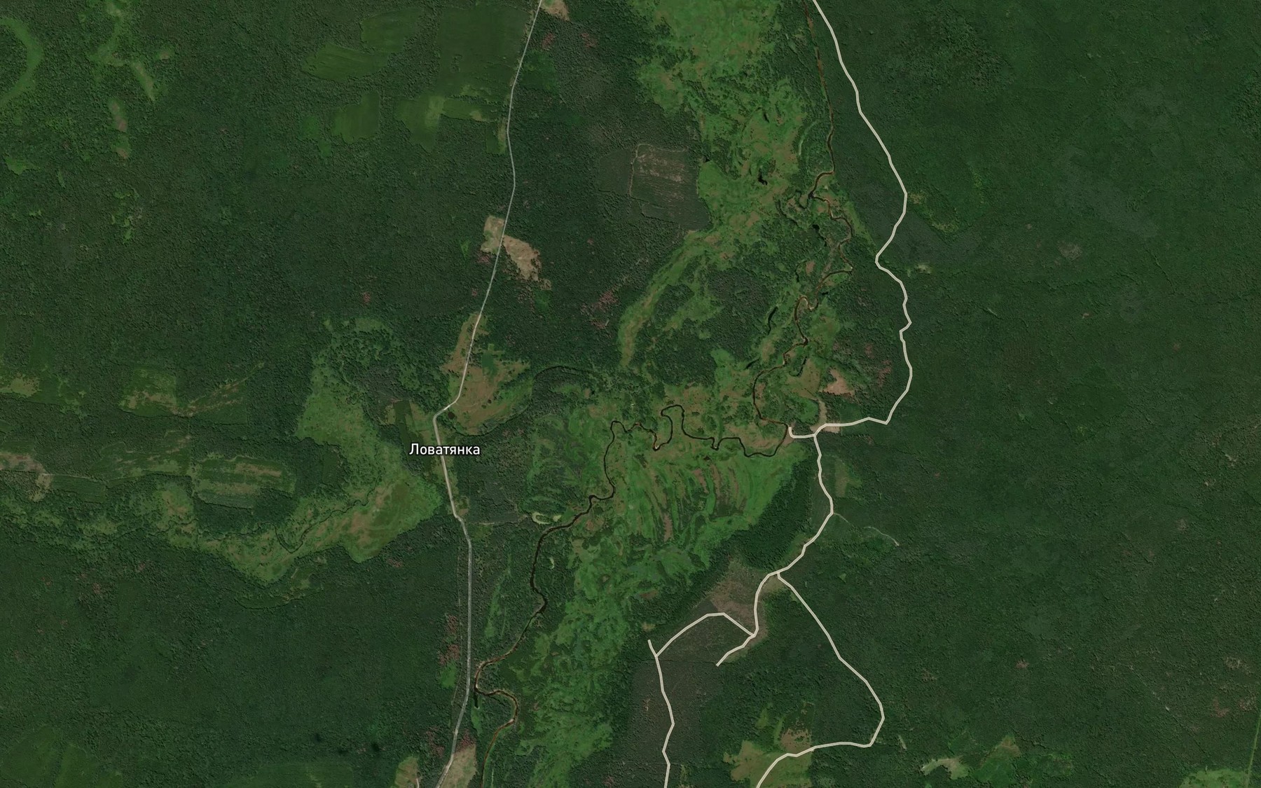 Satellite map of the Lovatyanka