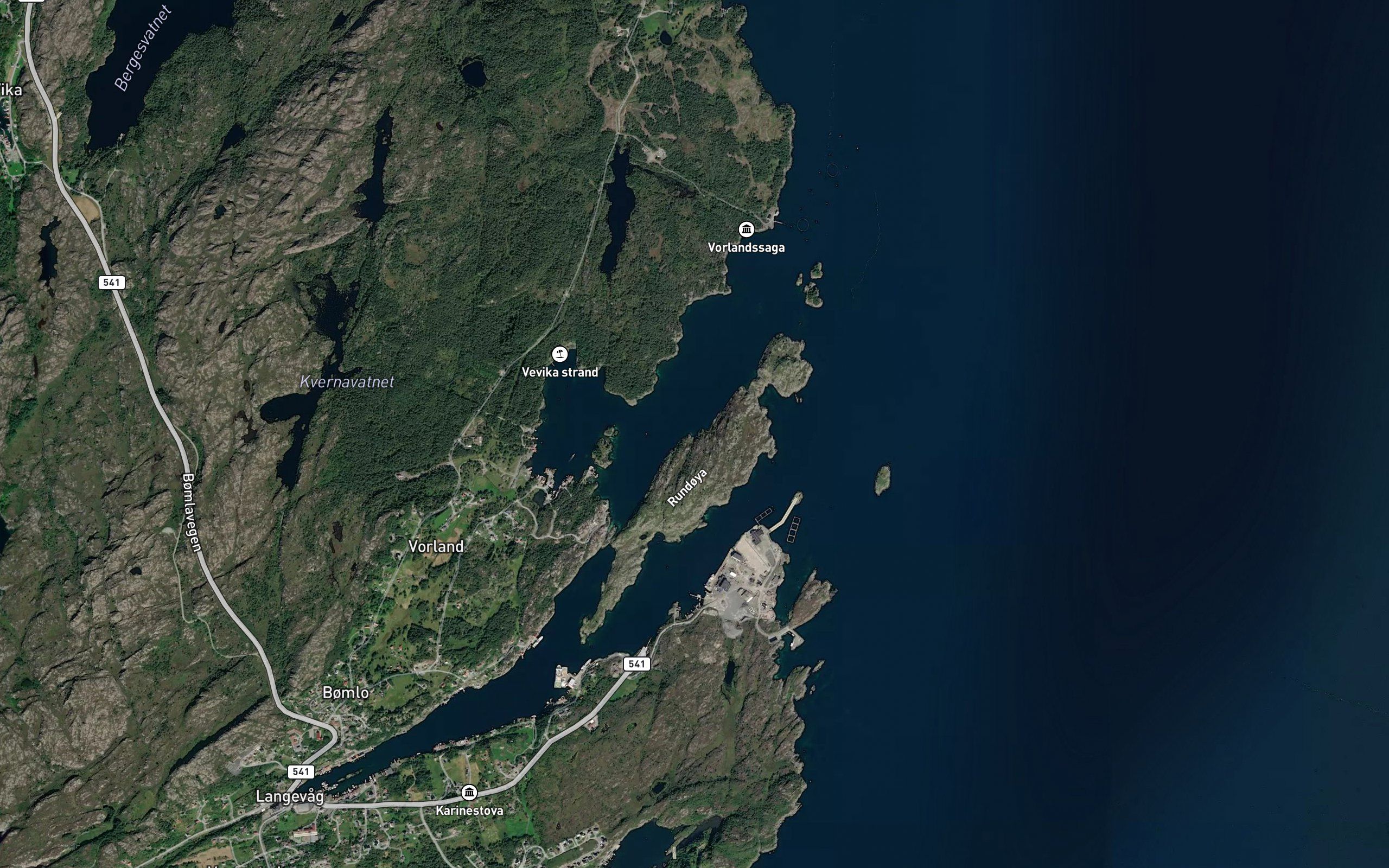 Jektvika