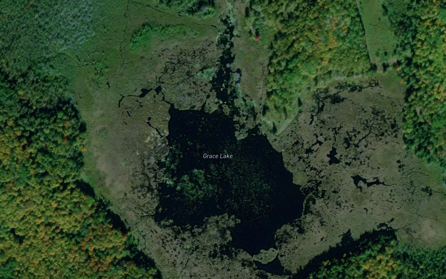 Satellite map of the Grace Lake