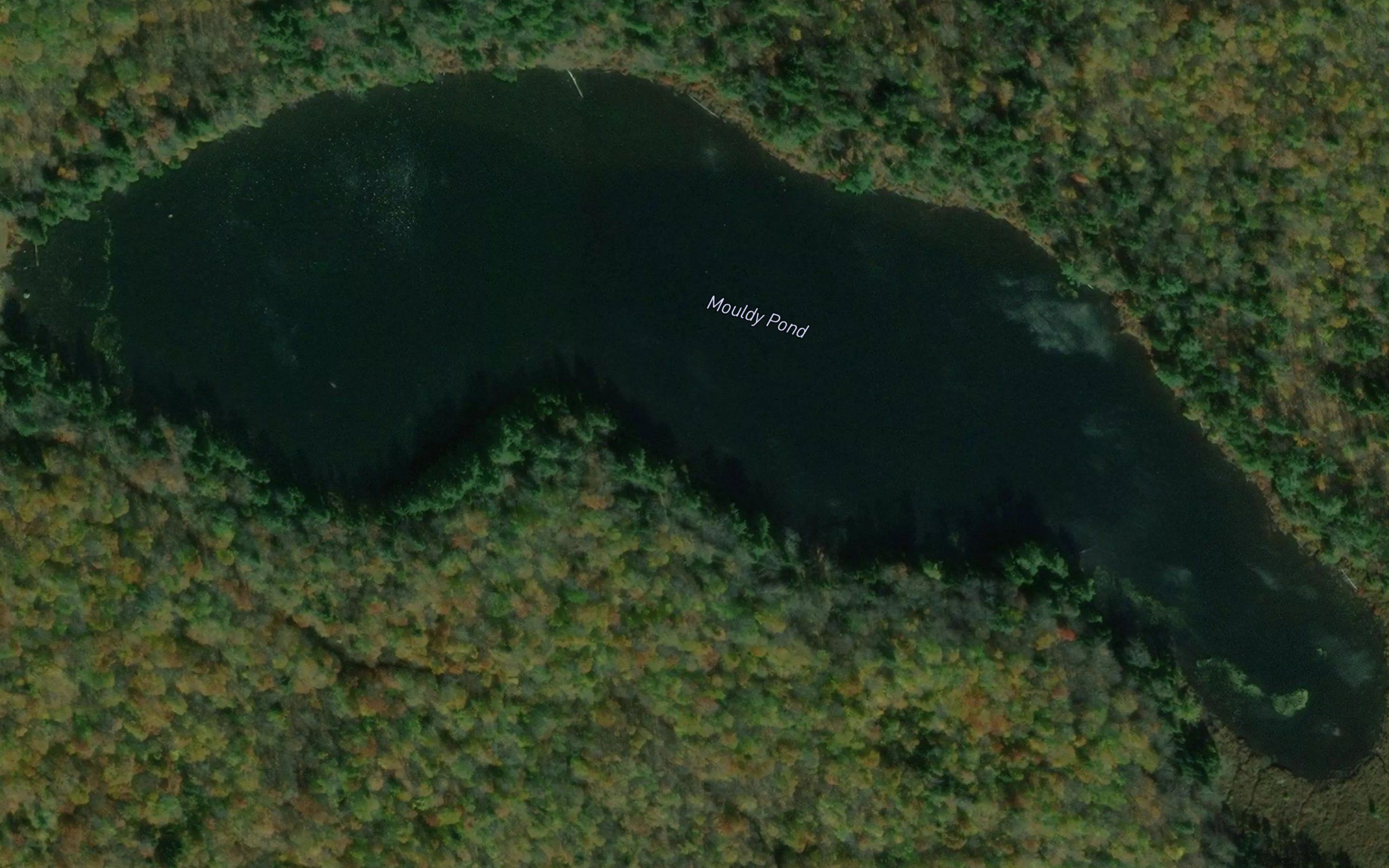 Mouldy Pond