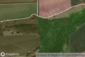 Balka Viltovskiy Les