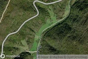 John Mullennex Spring