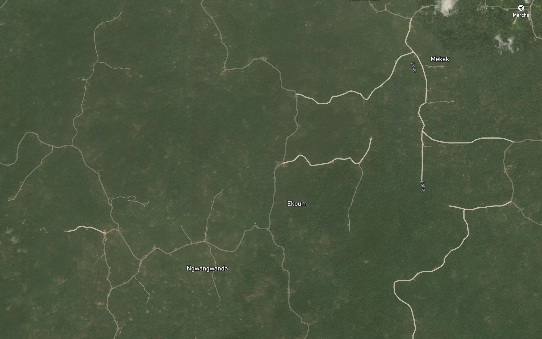 Satellite map of the Kingi