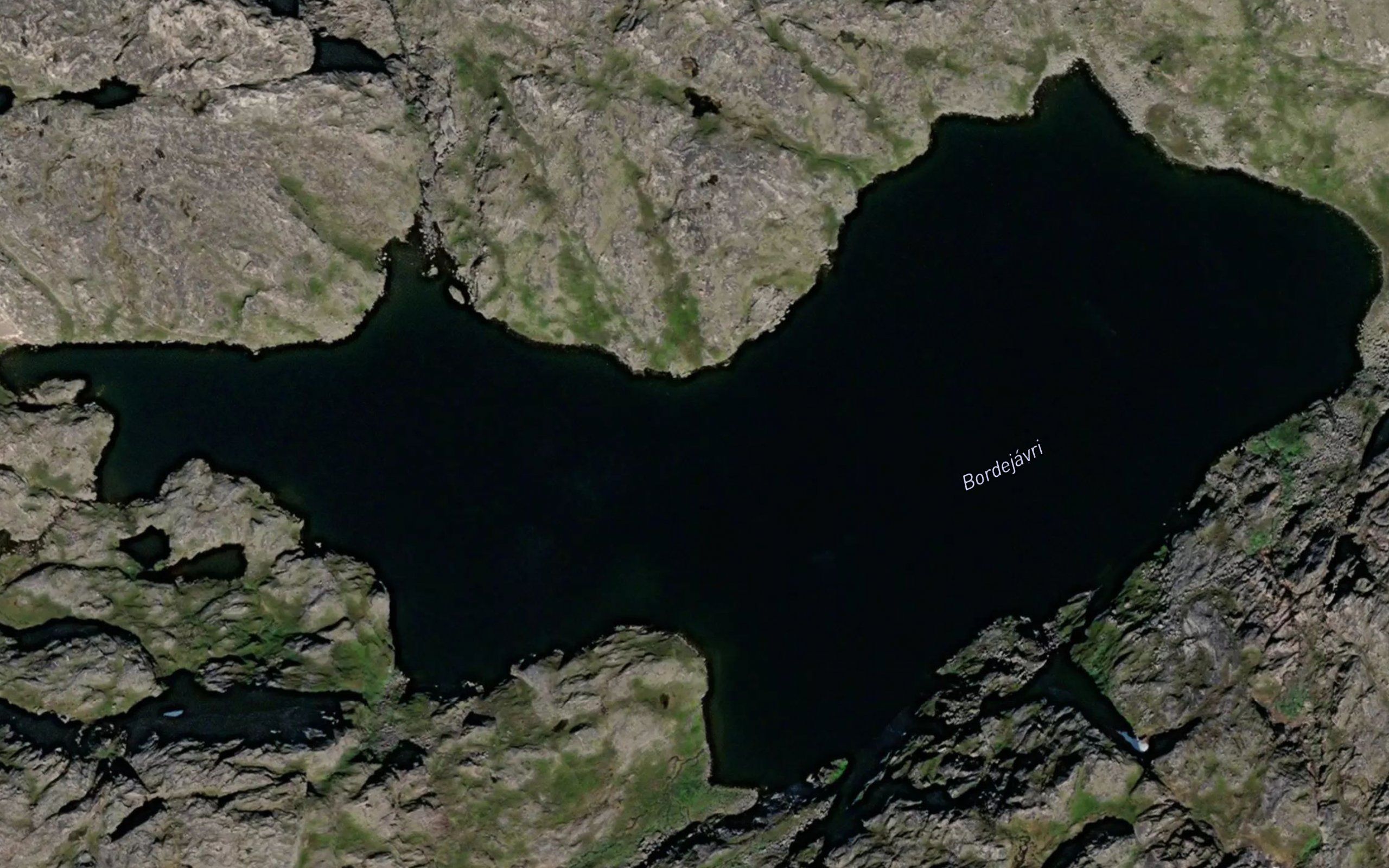 Bardejavri