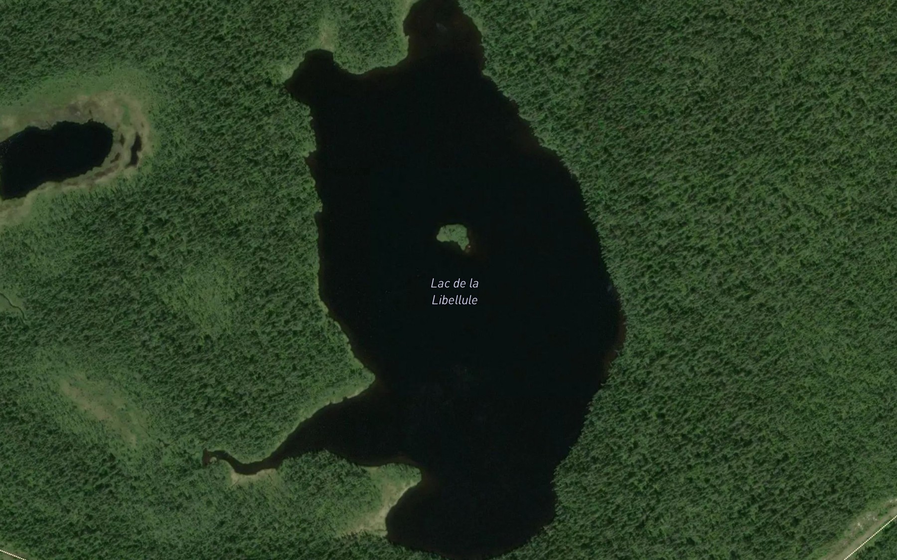 Satellite map of the Lac de la Libellule