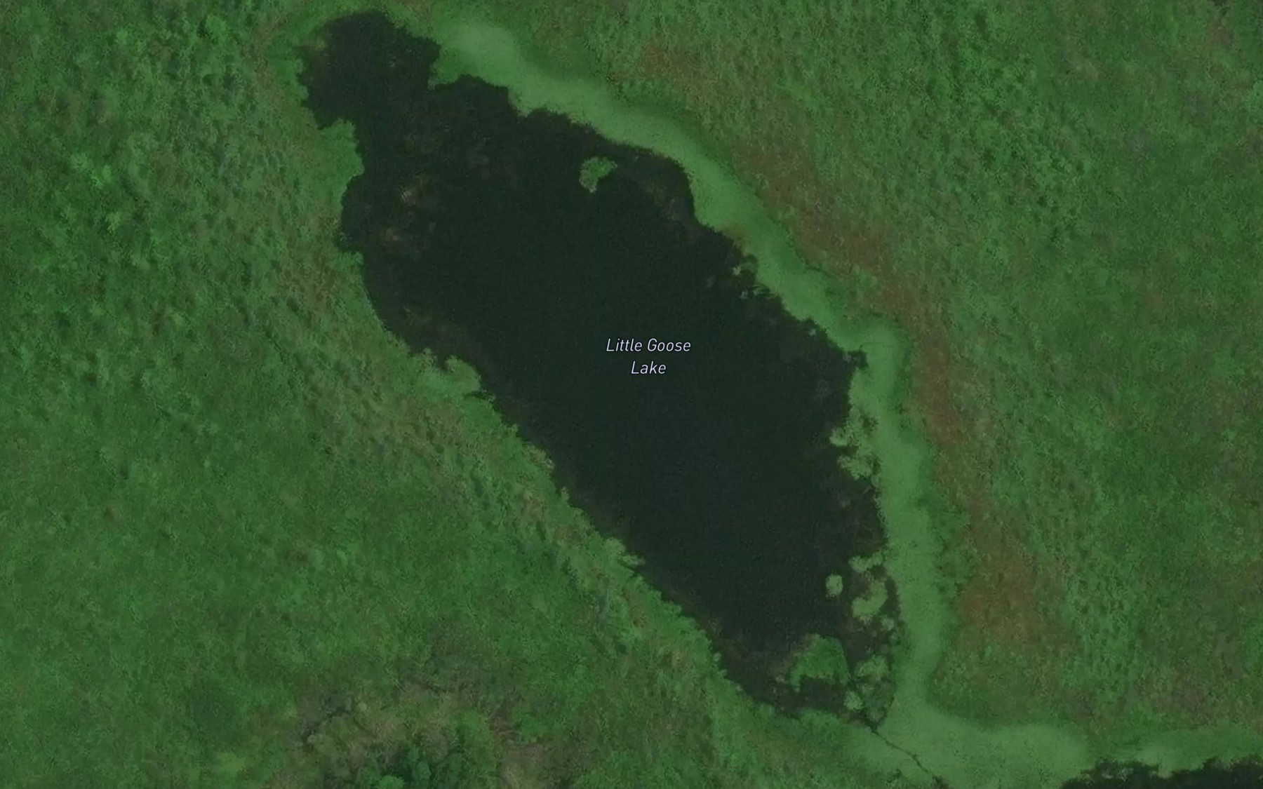 Satellite map of the Little Goose Lake