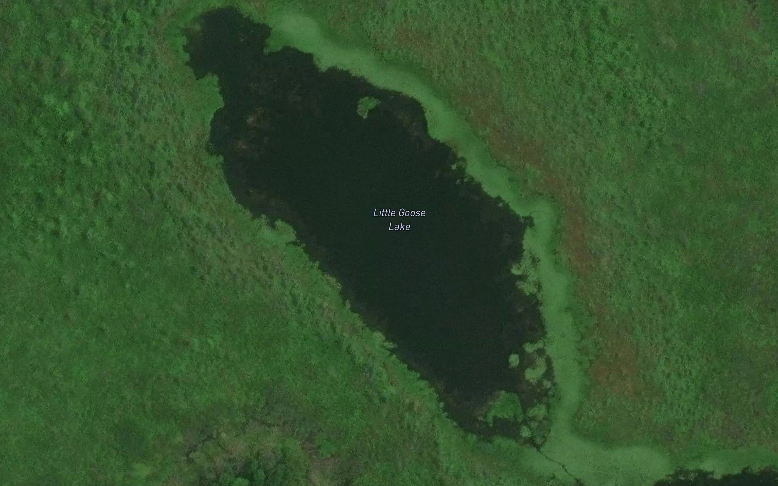 Little Goose Lake