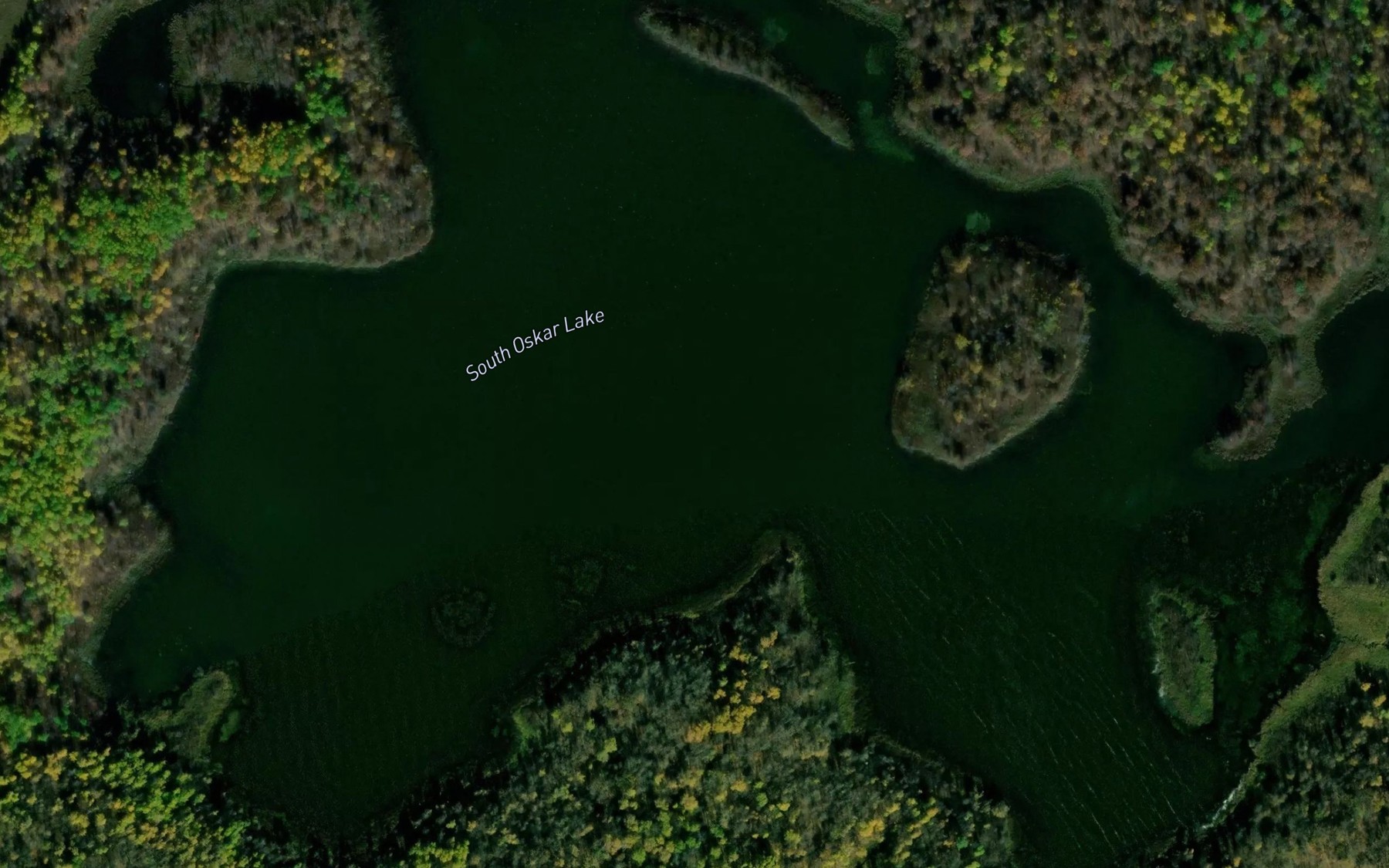Satellite map of the South Oskar Lake