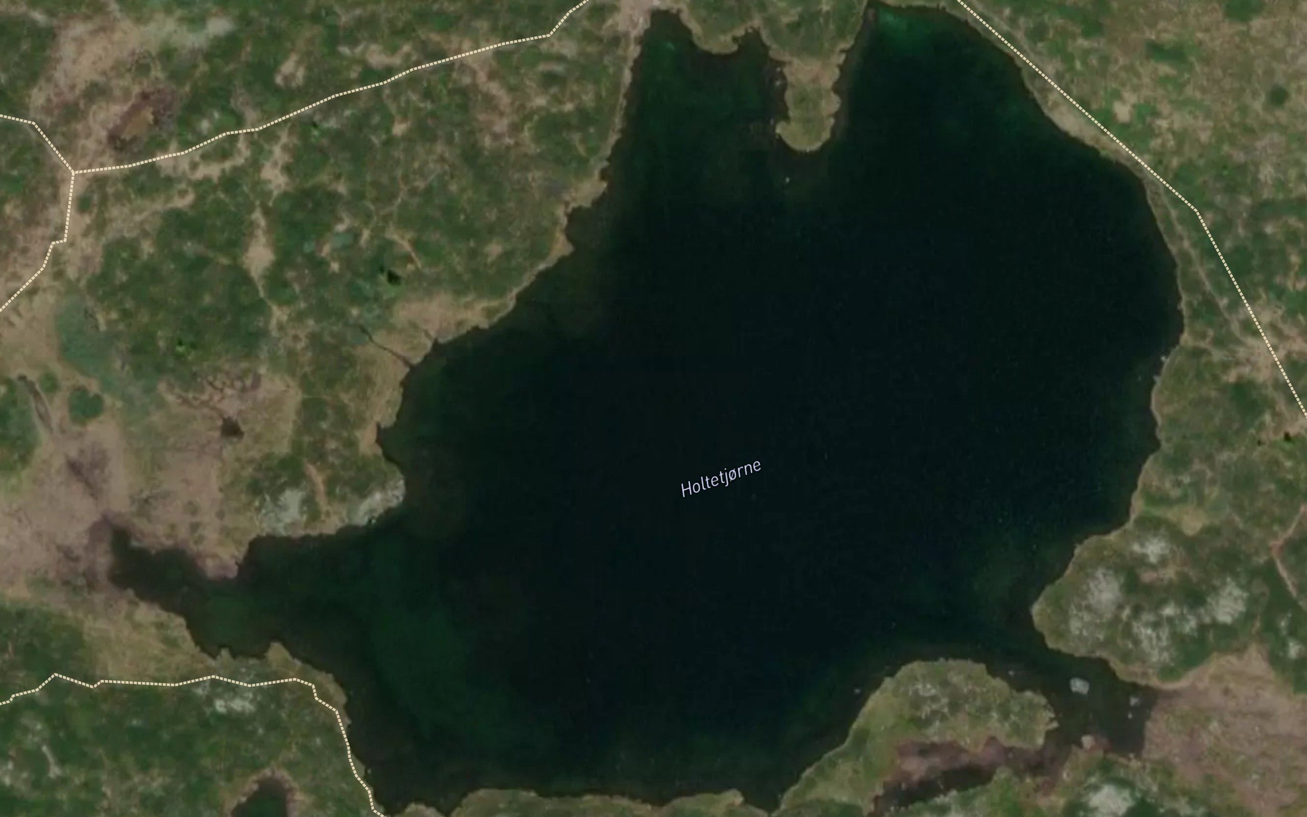 Holtetjorn