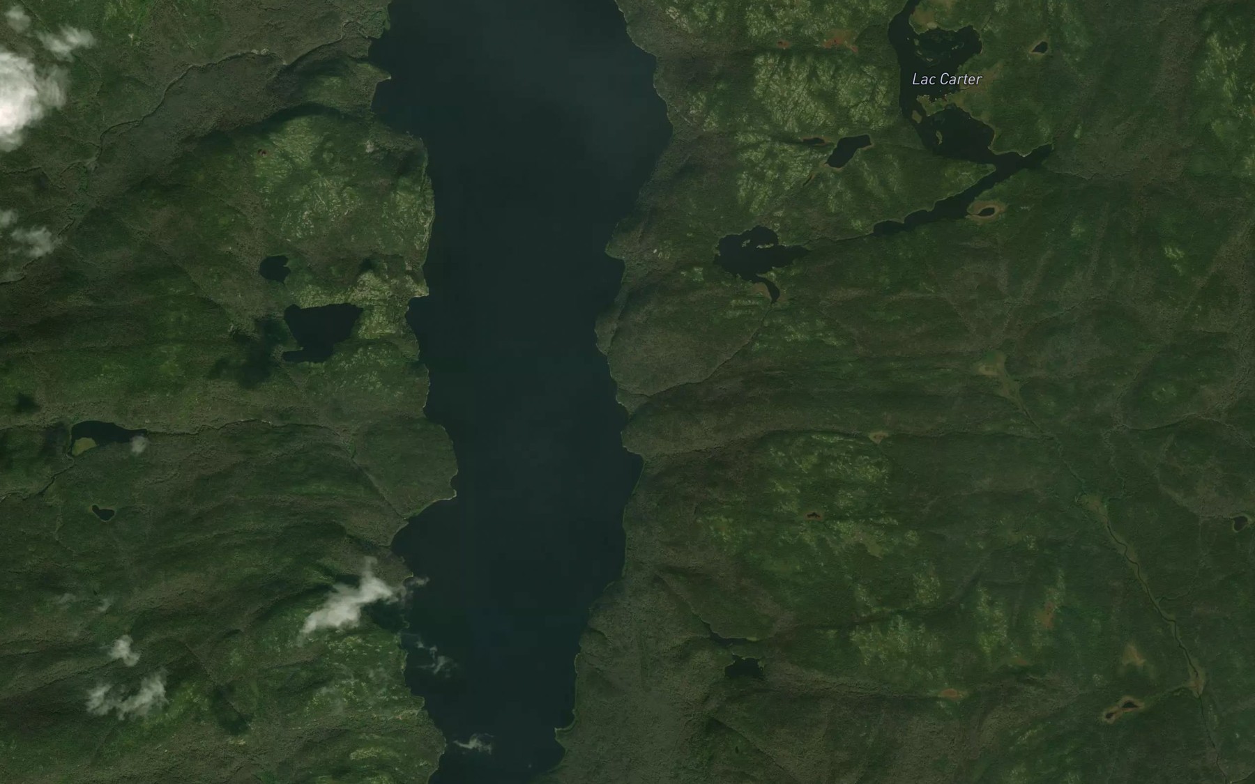 Satellite map of the Crique Carter