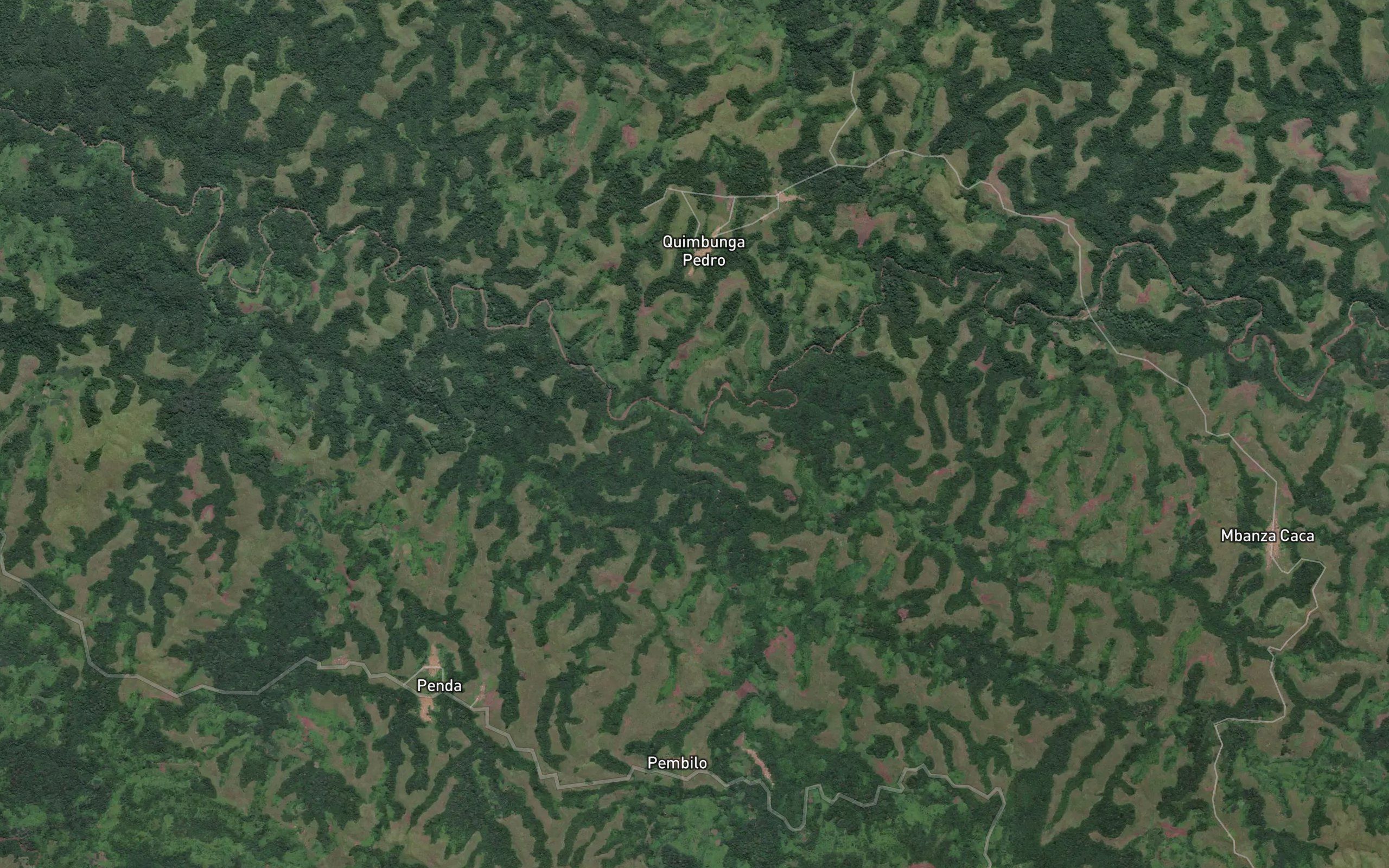 Quindonga