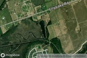 Lily Lake
