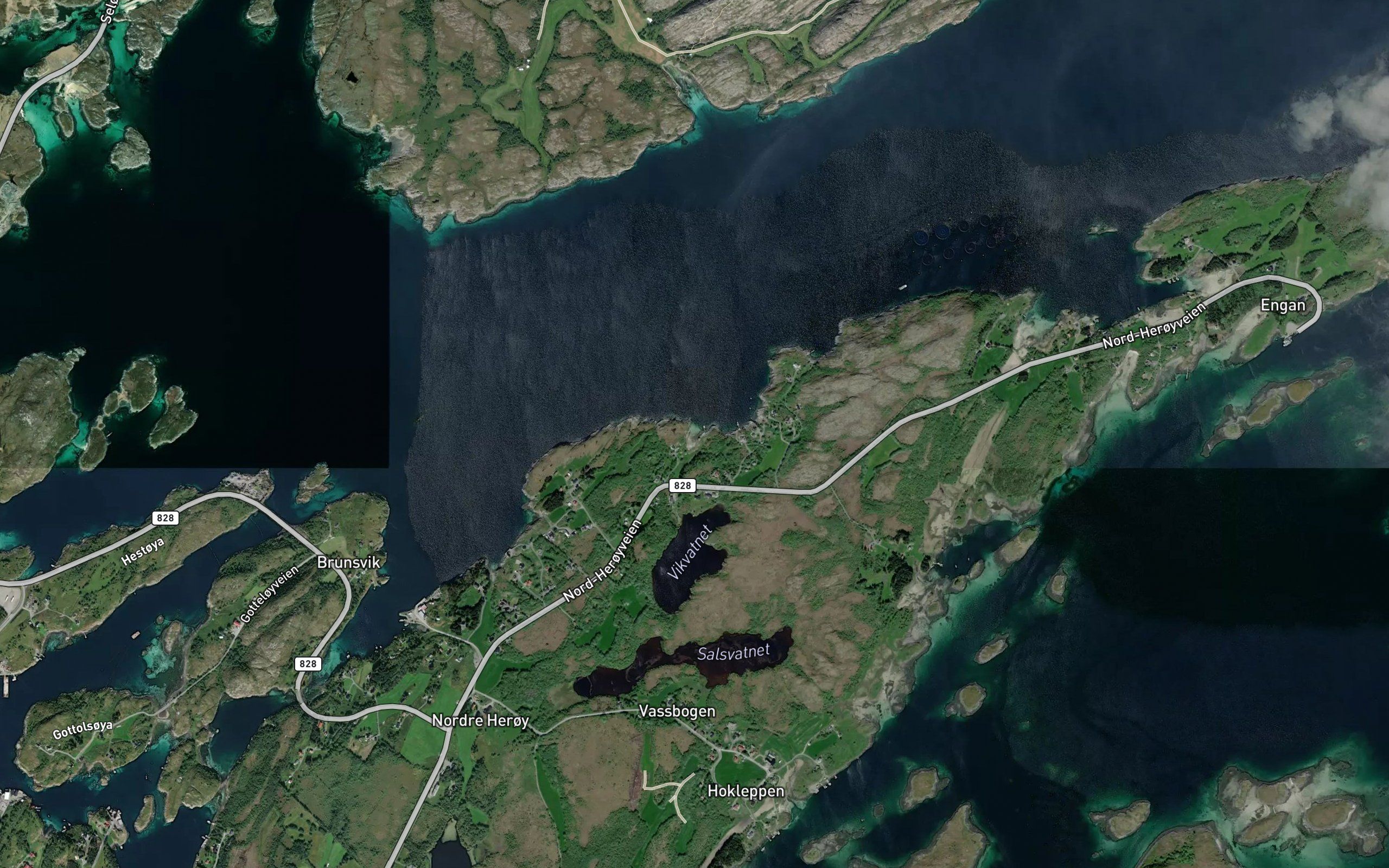 Kippervika