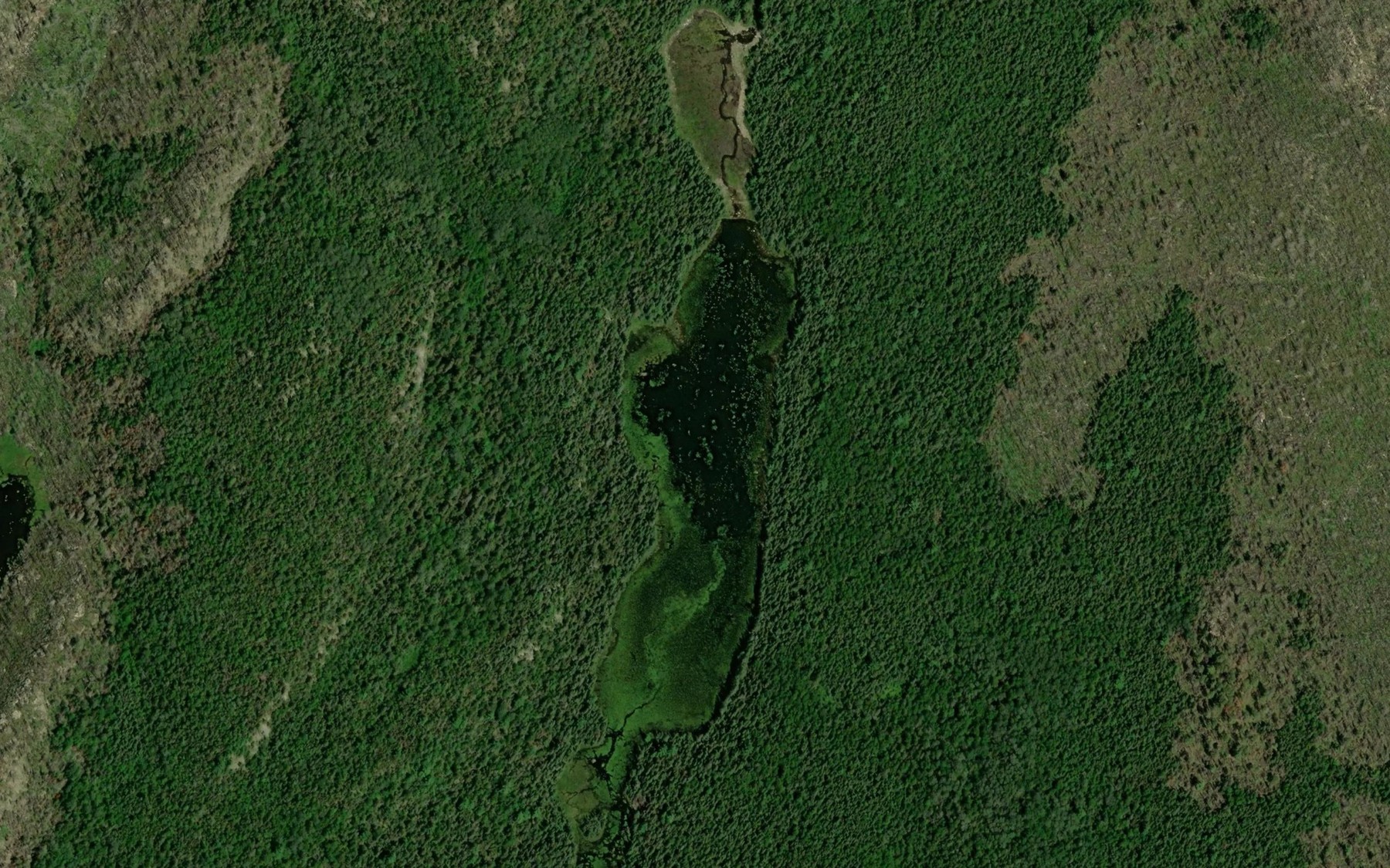 Satellite map of the Swampgrass Lake