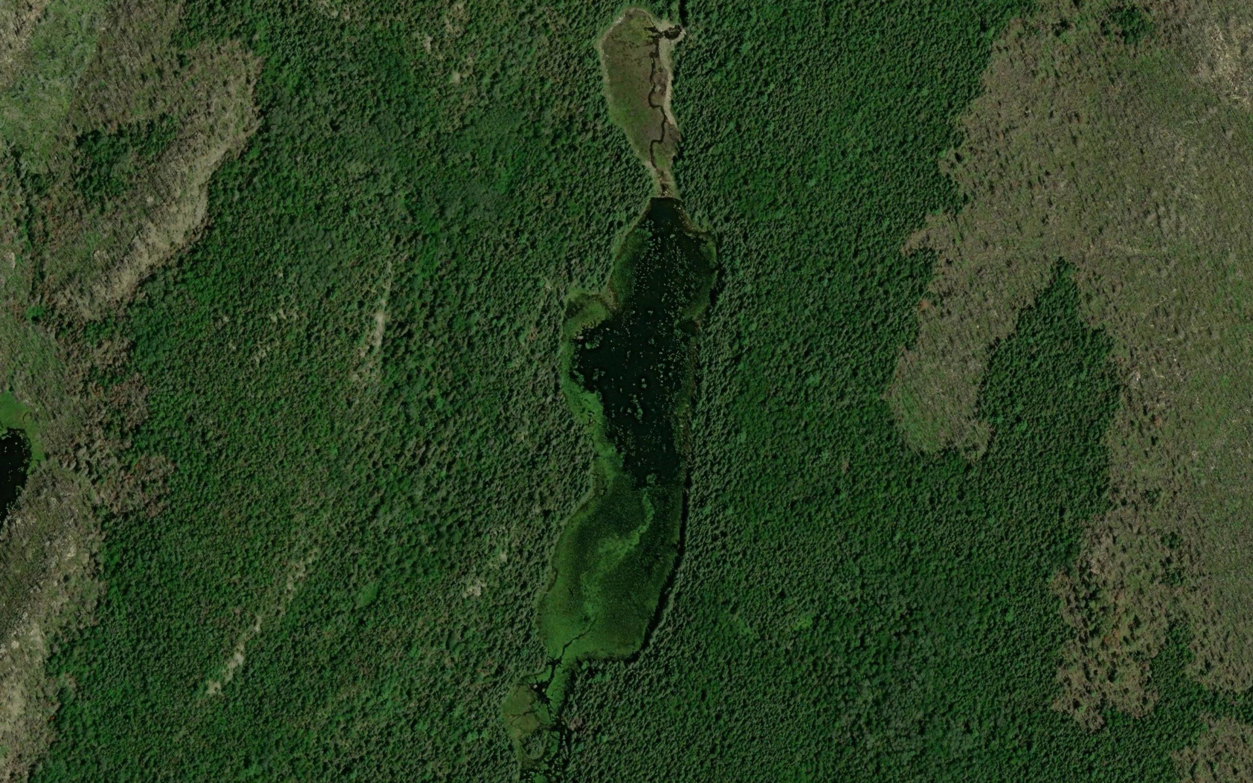 Swampgrass Lake