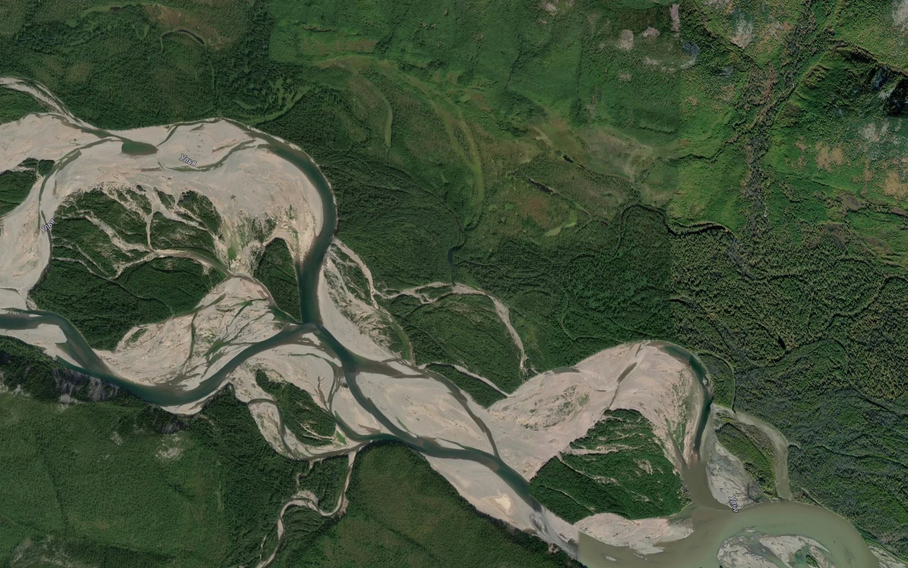 Satellite map of the Kustarnikovyy