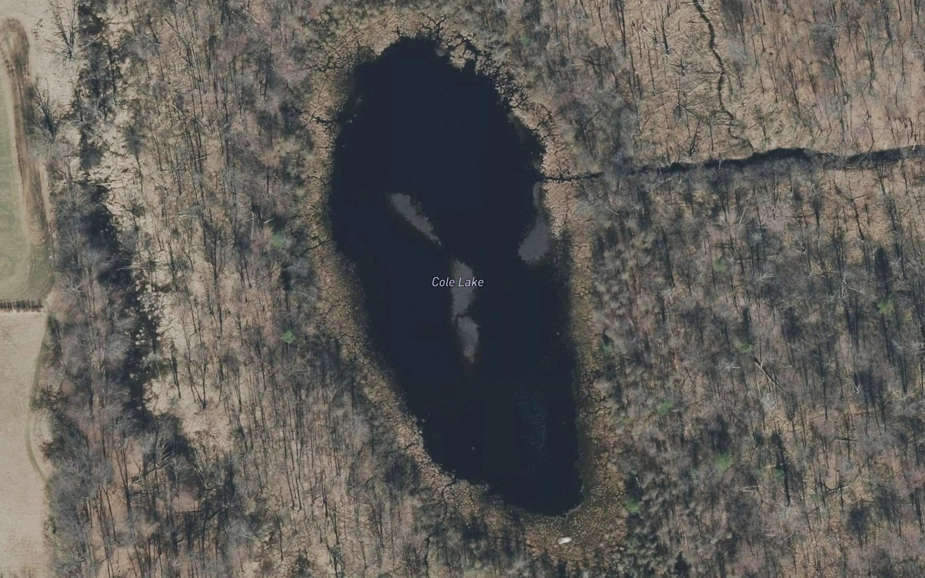 Satellite map of the Cole Lake