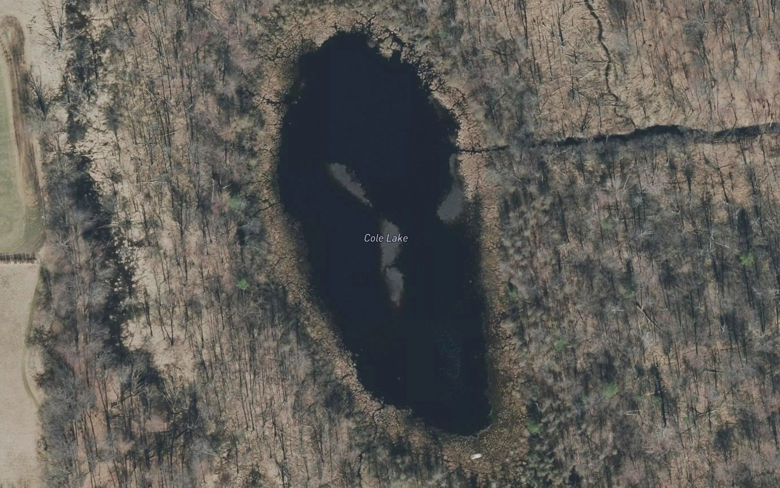 Cole Lake