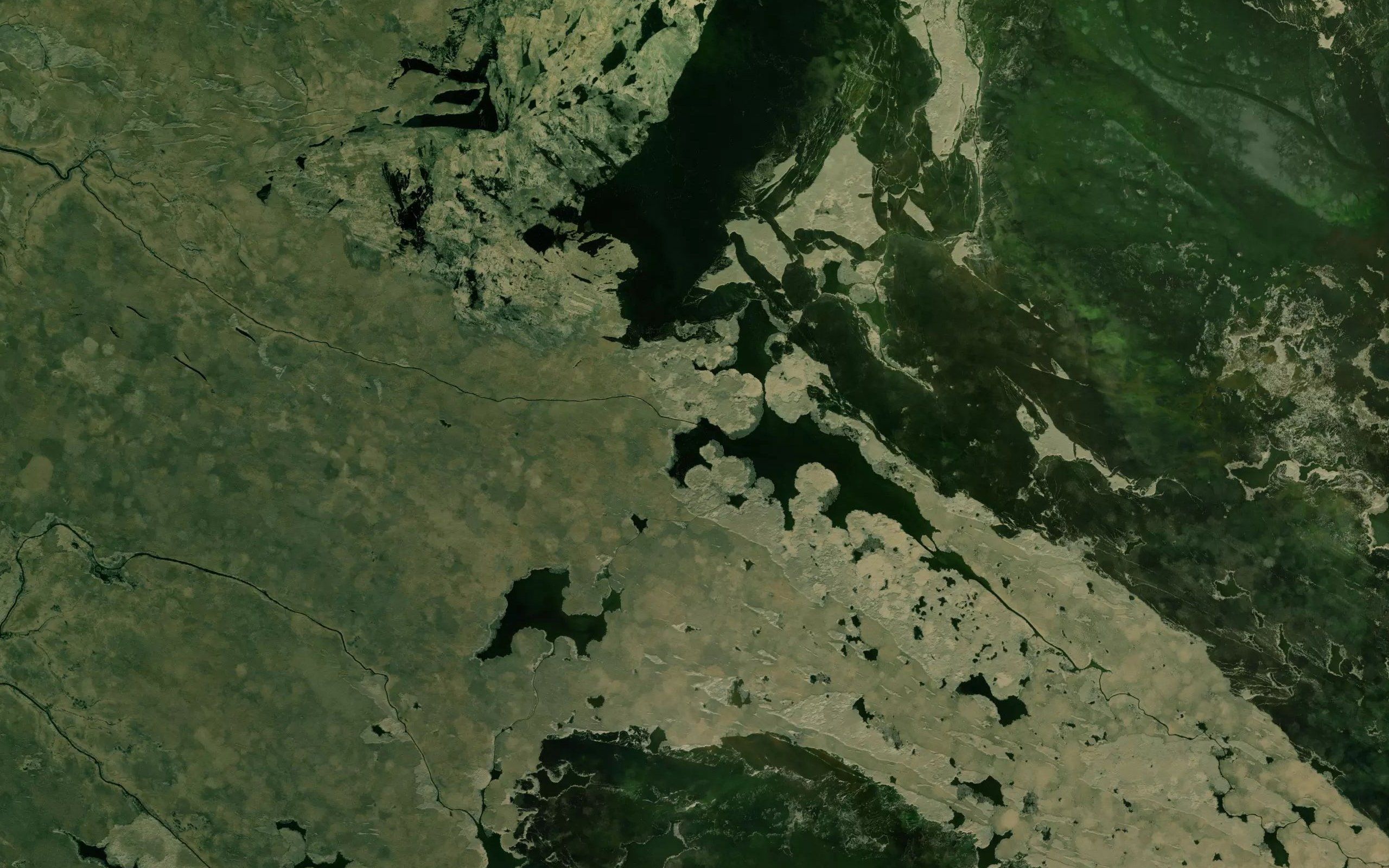 Krestovaya