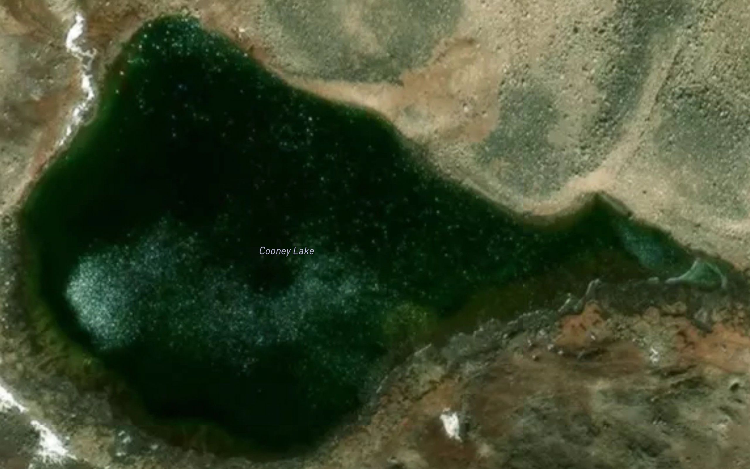 Cooney Lake