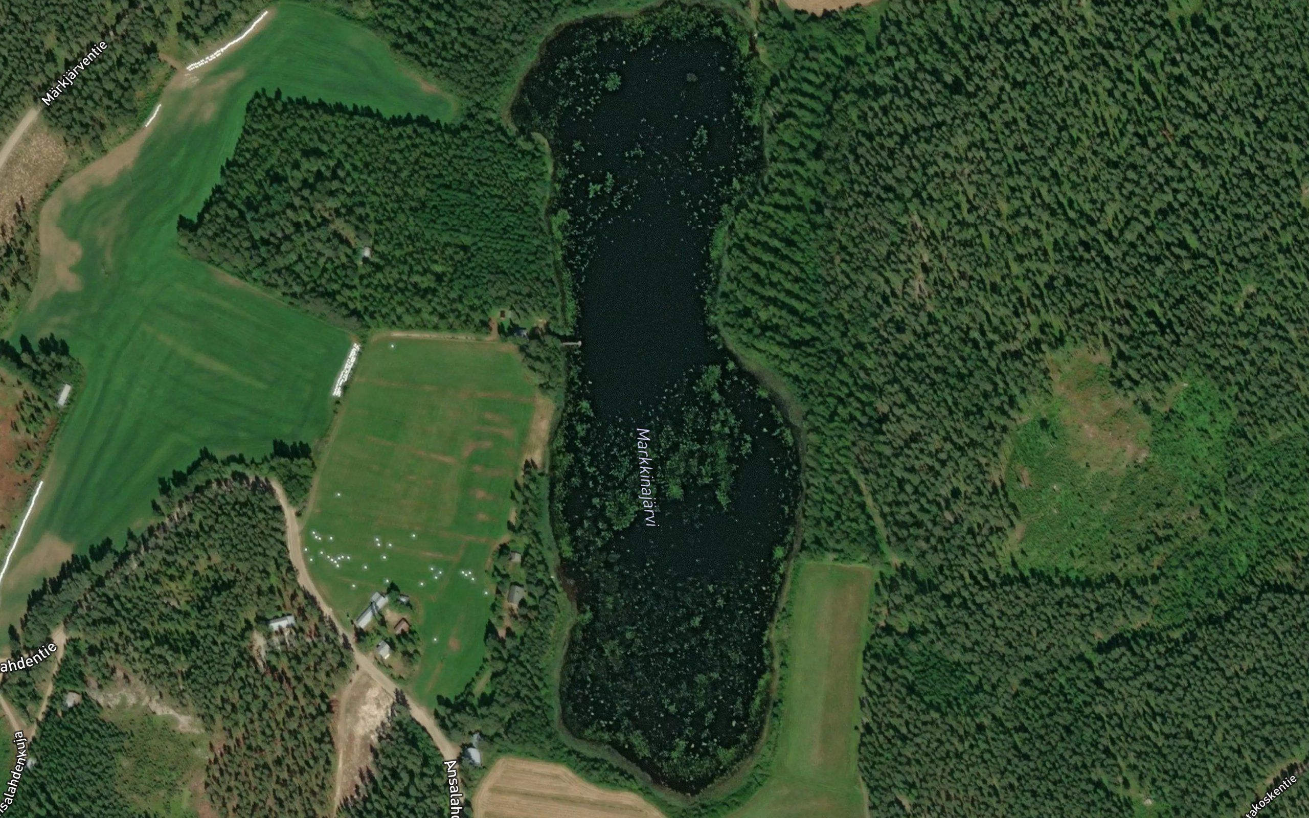 Markkinajarvi