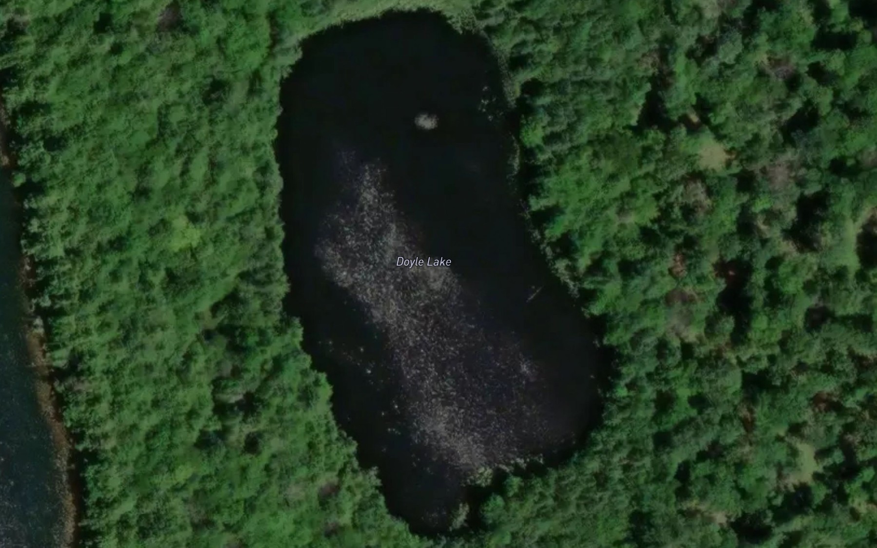 Satellite map of the Doyle Lake