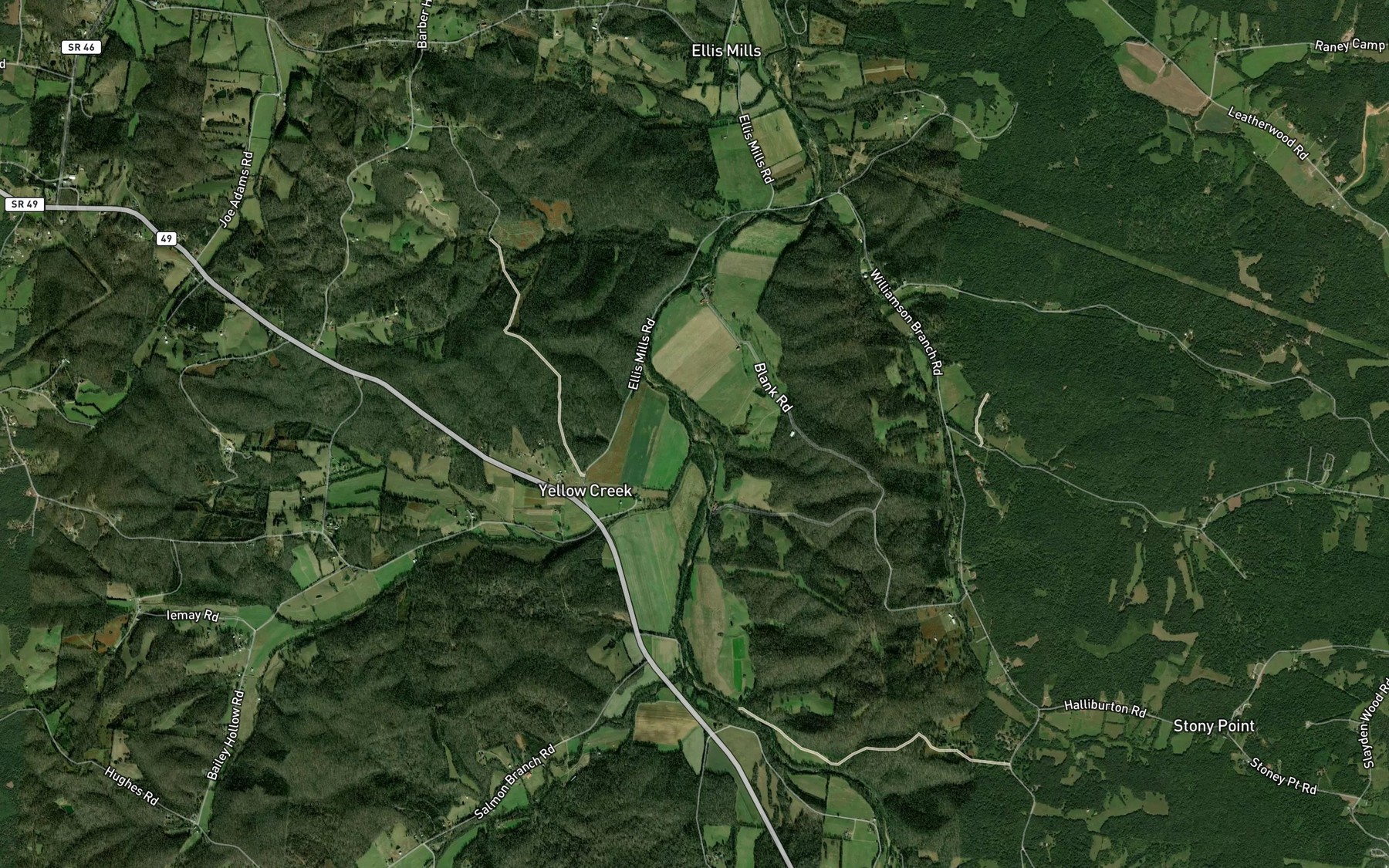 Satellite map of the Town Branch