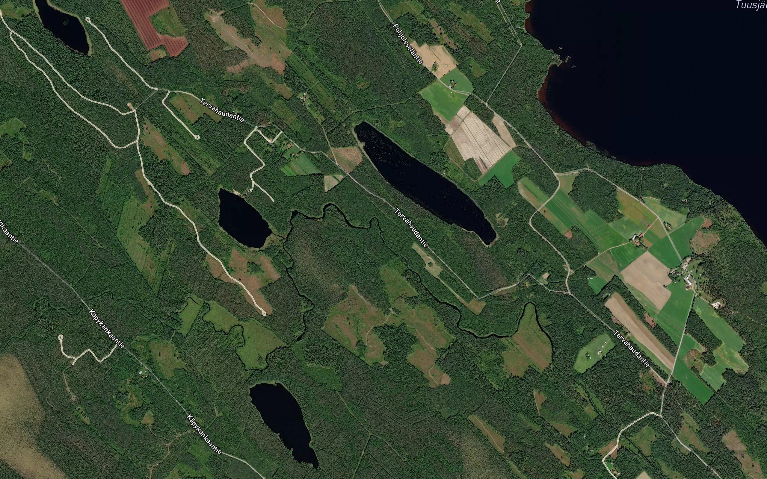 Lehmisahi