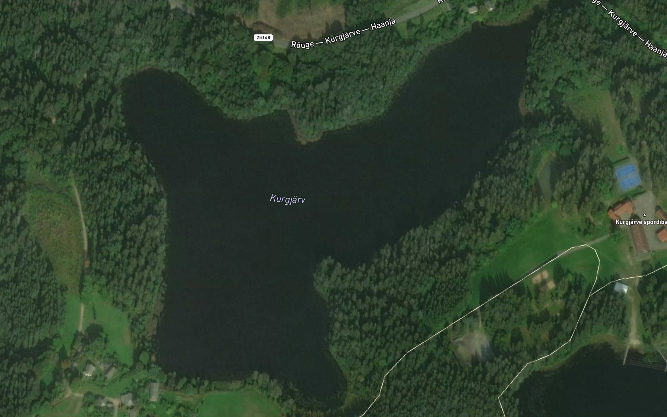 Kurgjarv