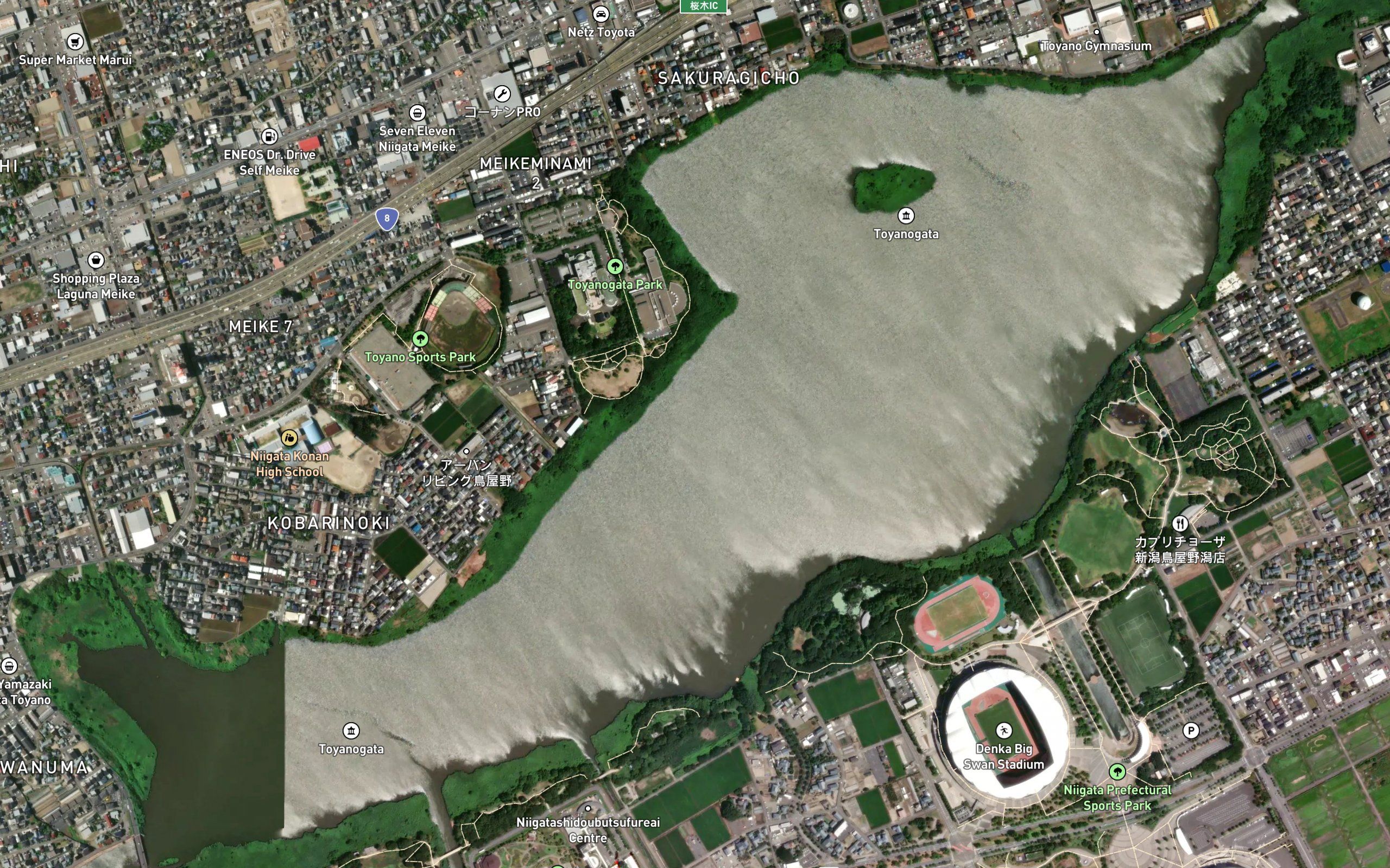Toyano Gata
